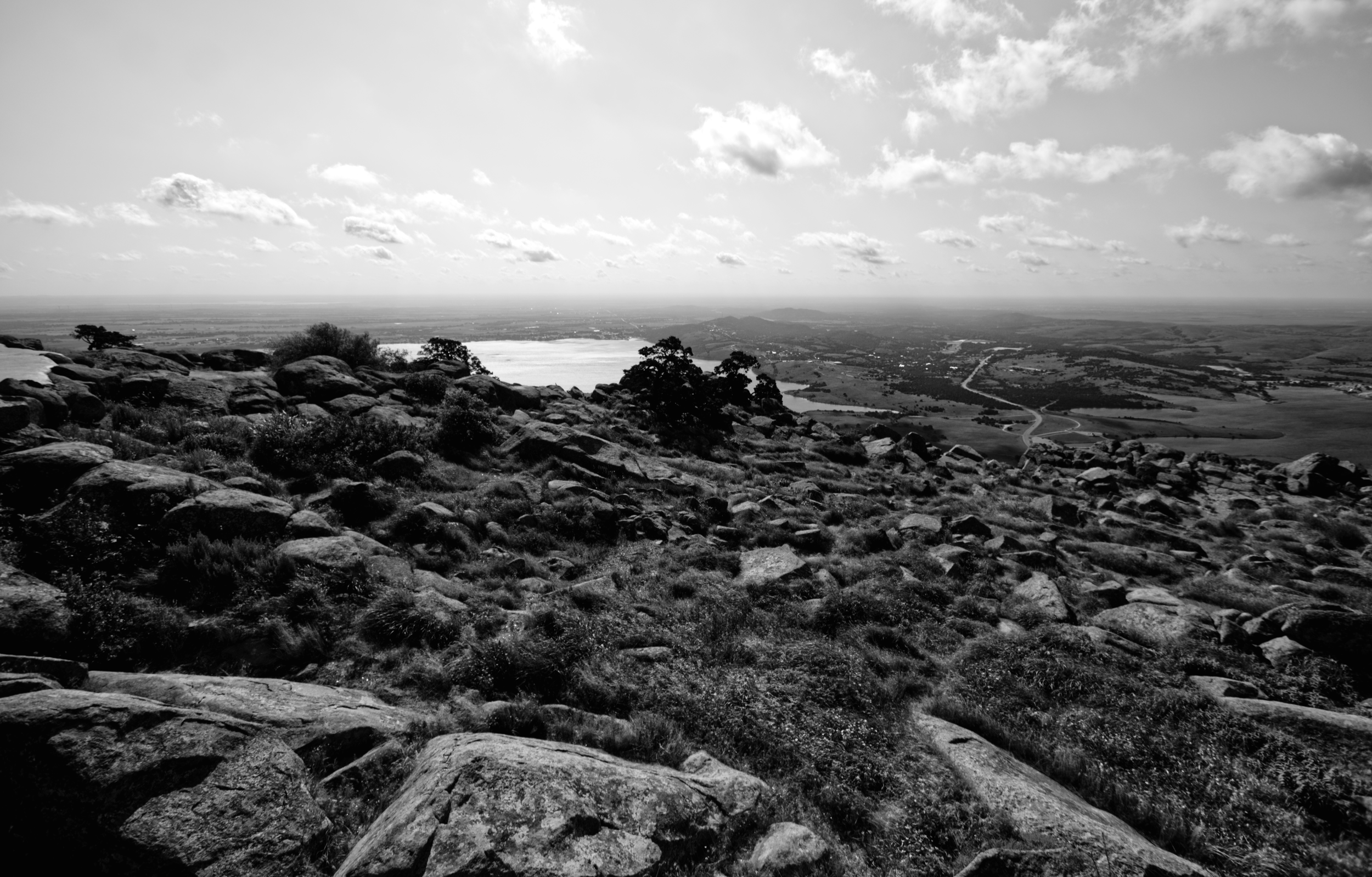 DSC_5466bw.png