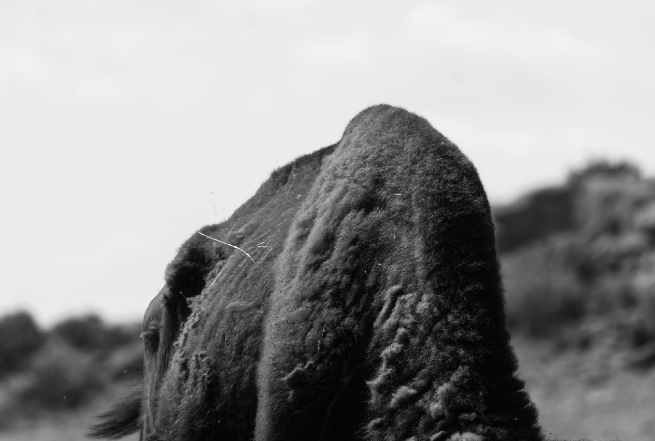 DSC_5659.png