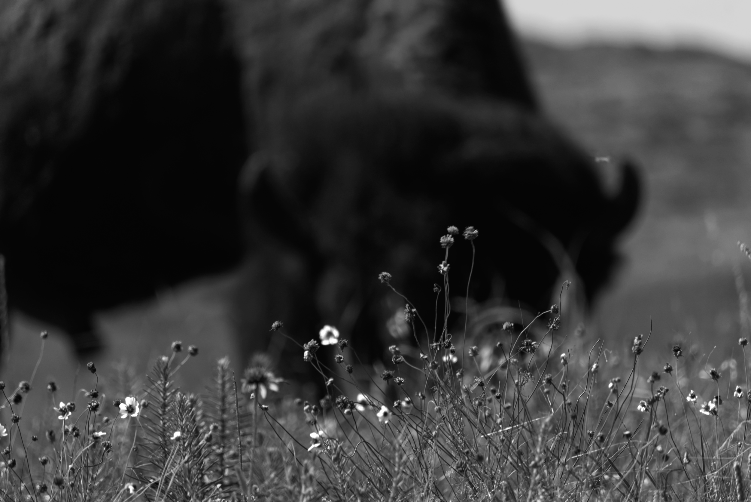 DSC_5637.png