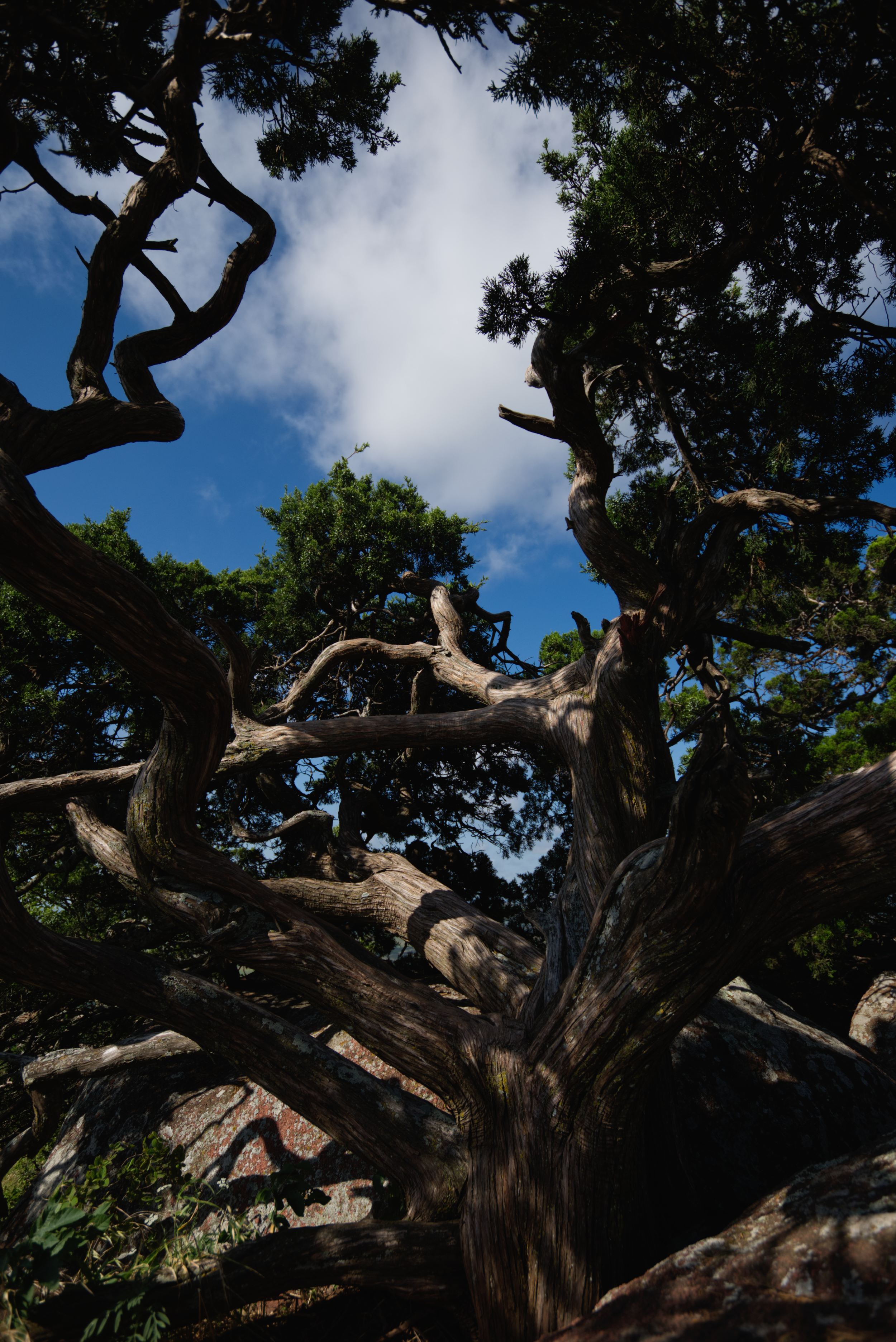 DSC_5471.png