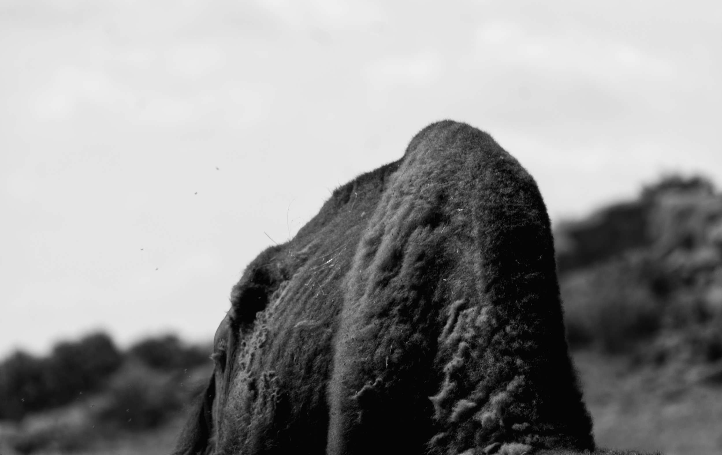 DSC_5661.png