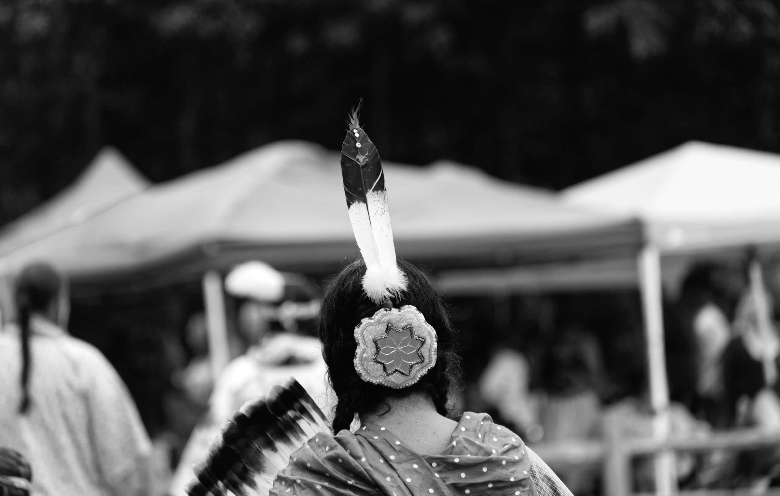 DSC_7662.png