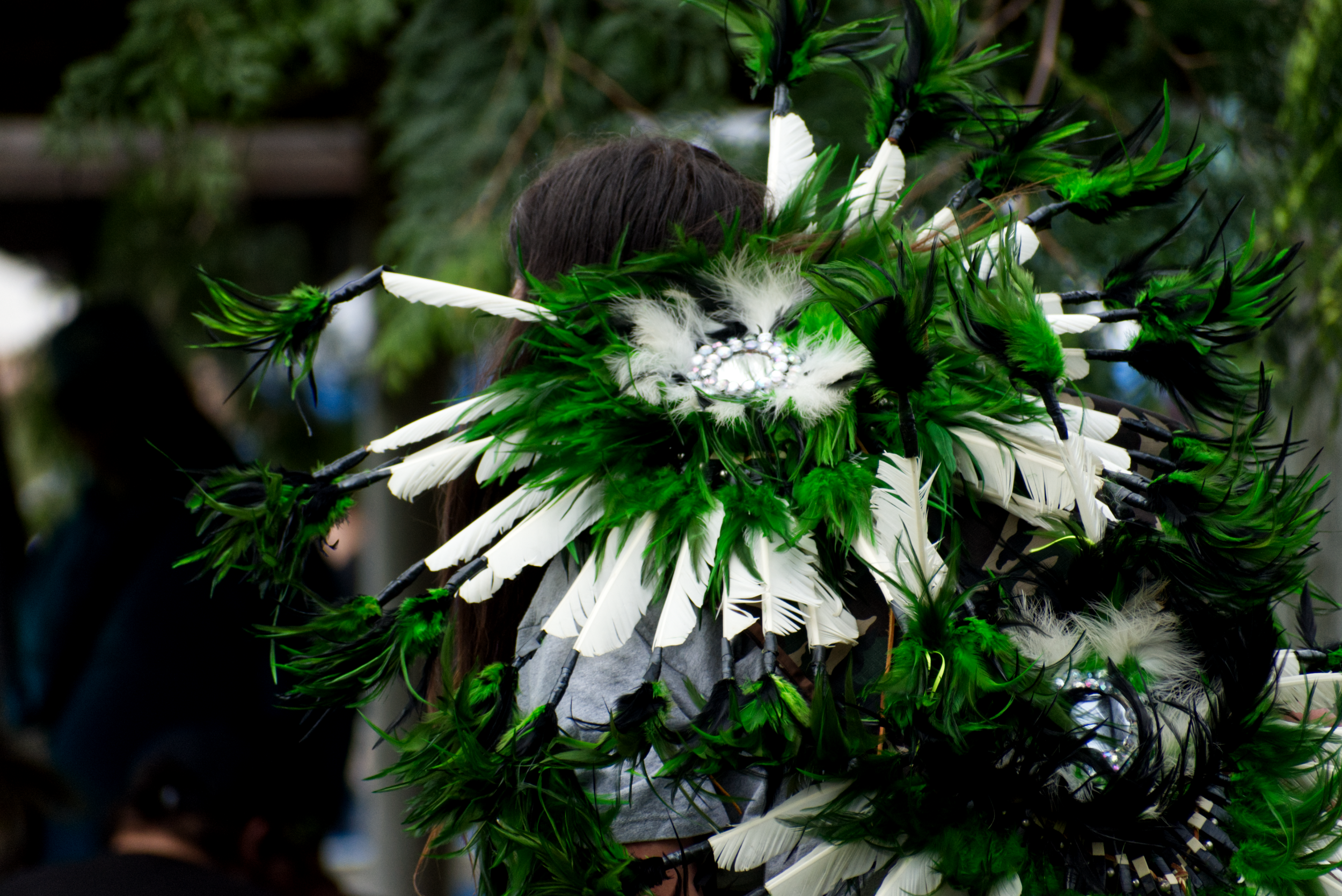 DSC_7677.png