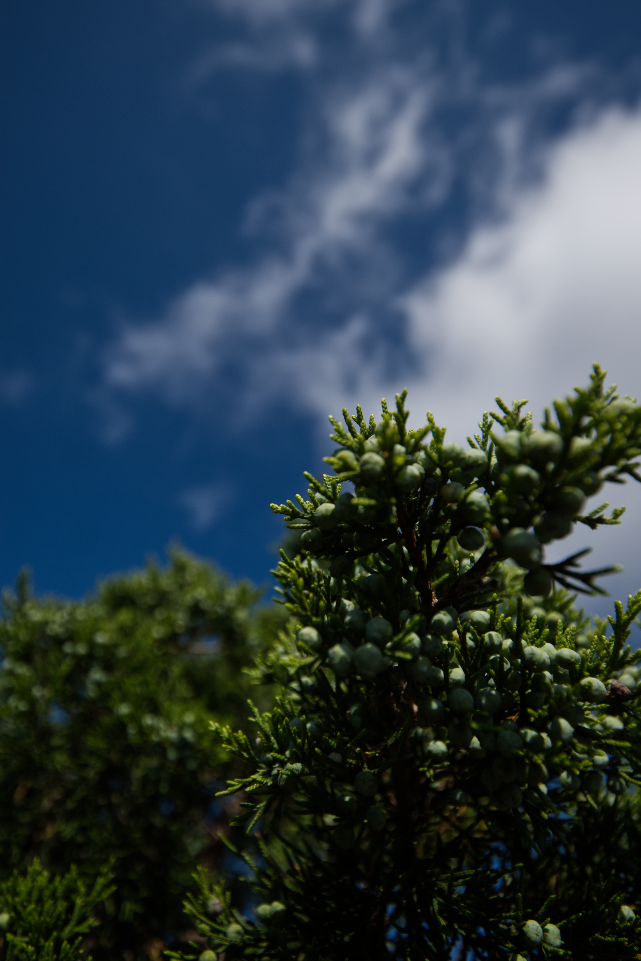 DSC_5477.png