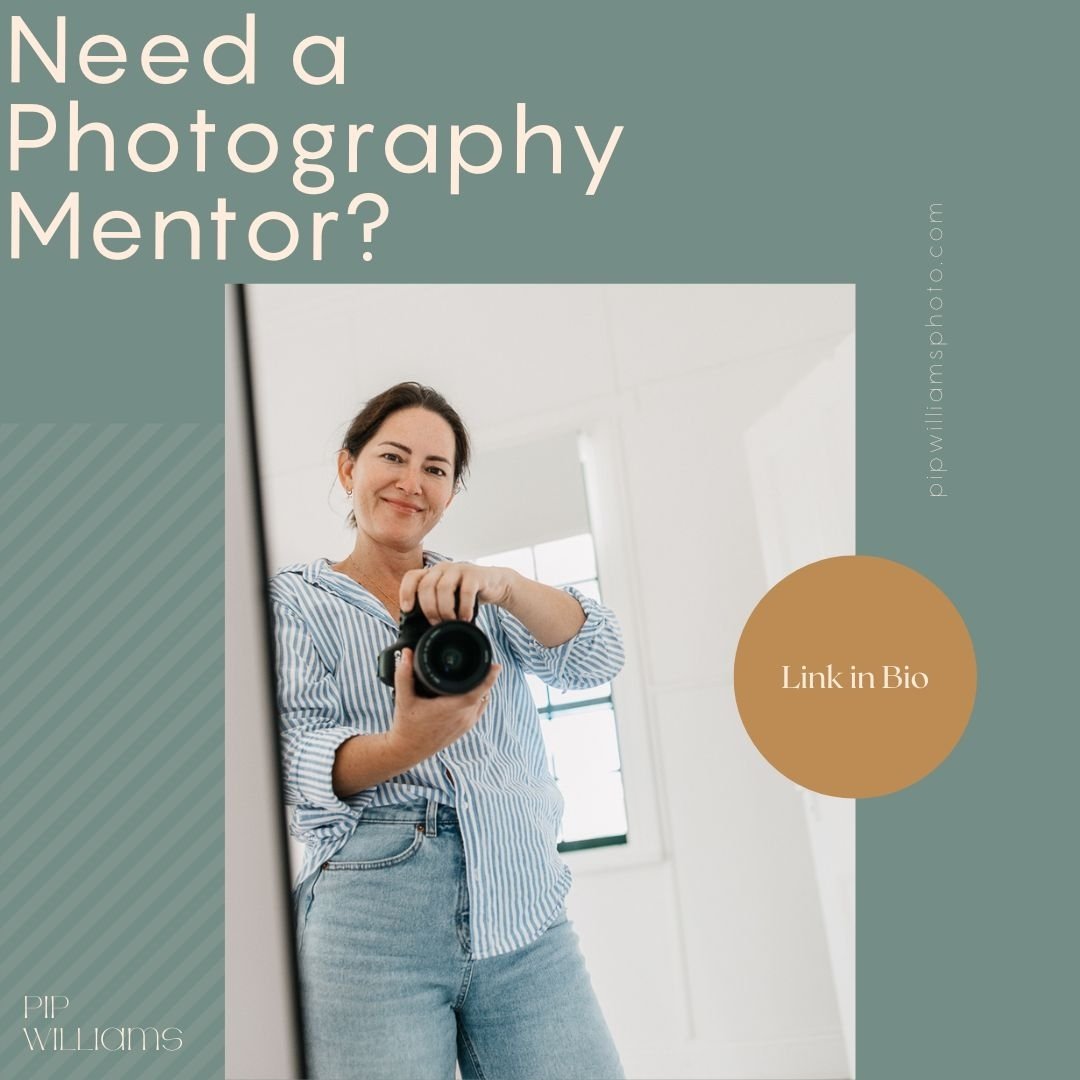 Need a mentor?

Click the link in my bio and then scroll down to find my mentoring package with all the info and booking link.

#brisbanephotographer #toowoombaphotographer #photographymentor #familyphotographer