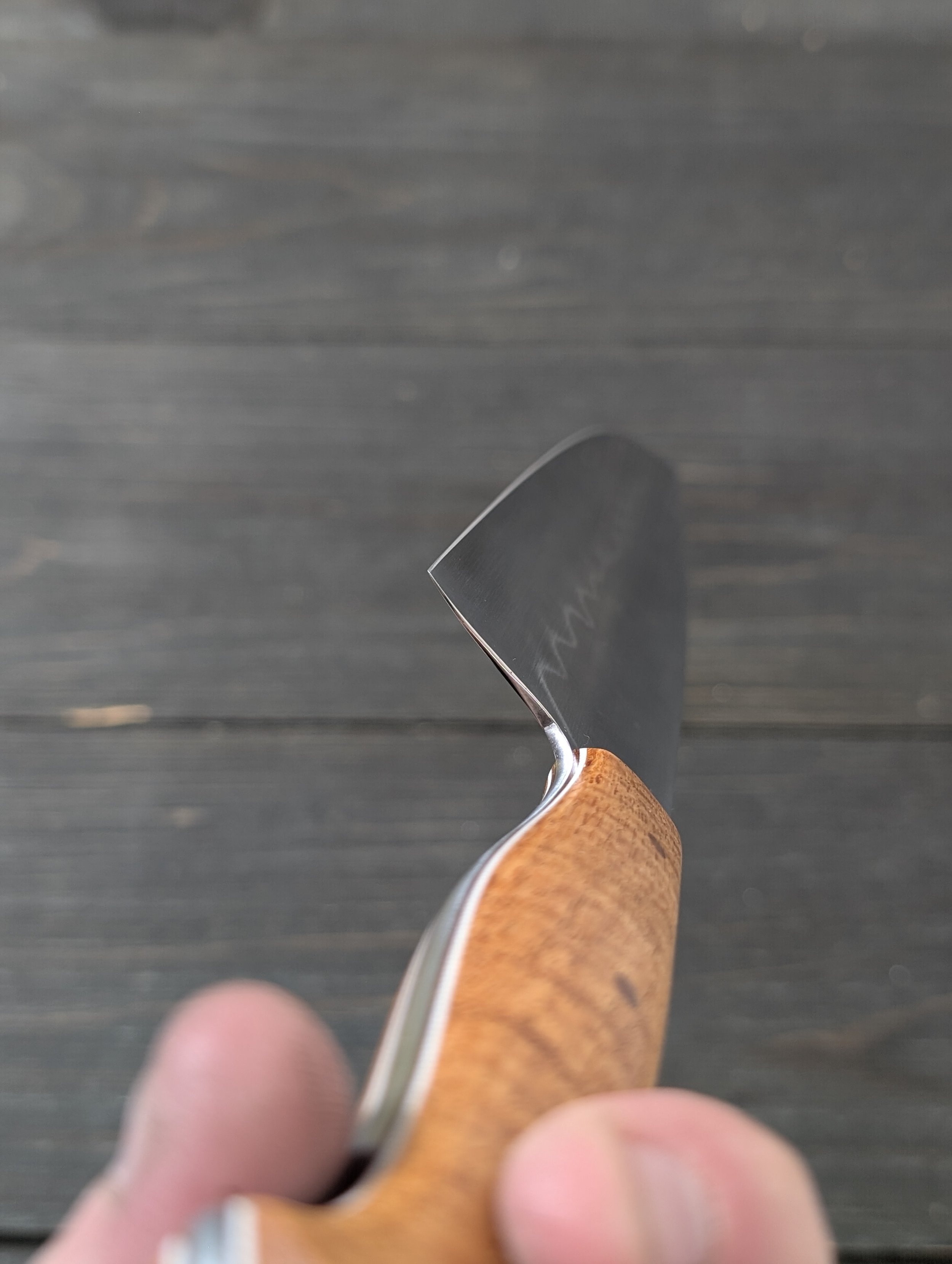 PXL_20251121_015214391.jpg (Copy)