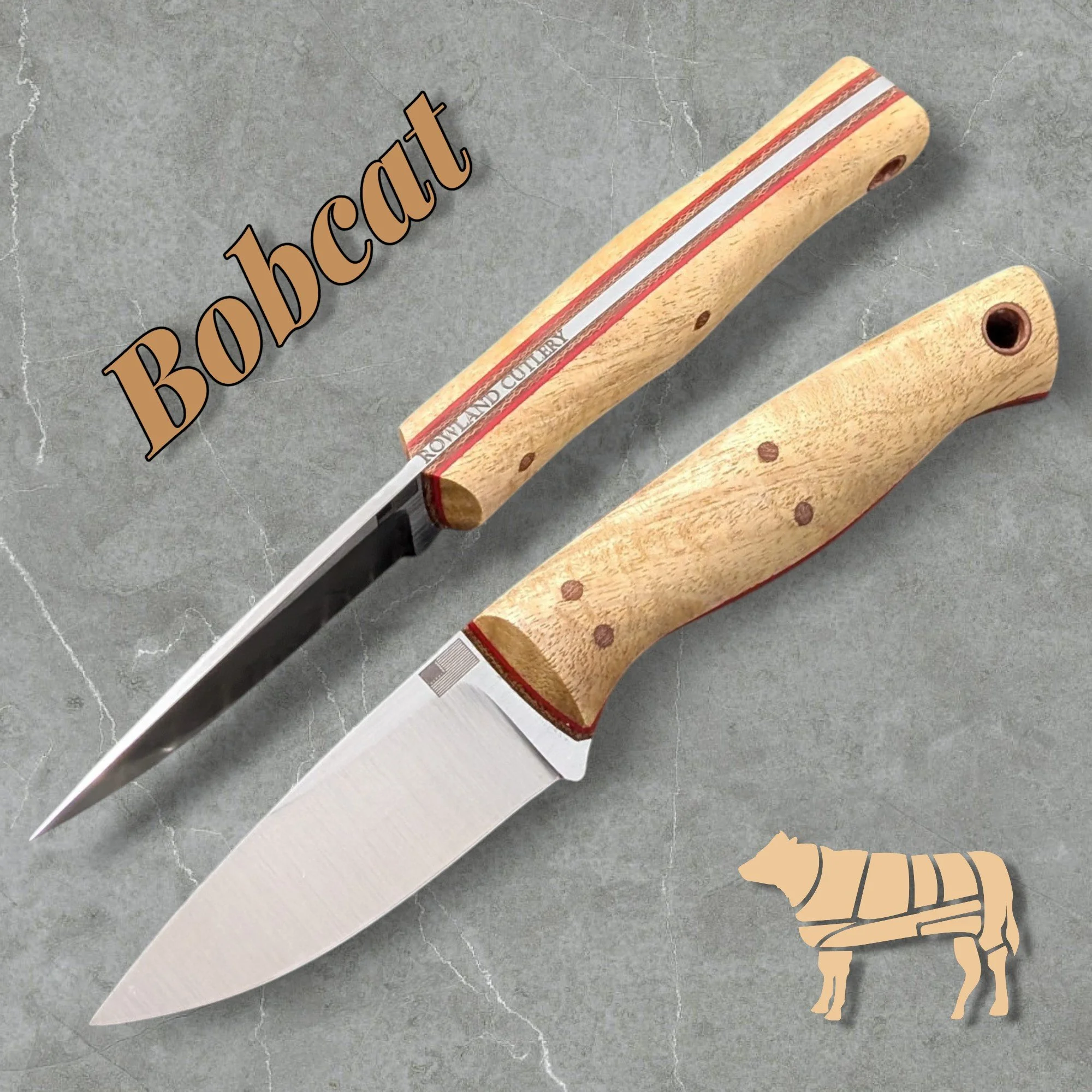 Bobcat