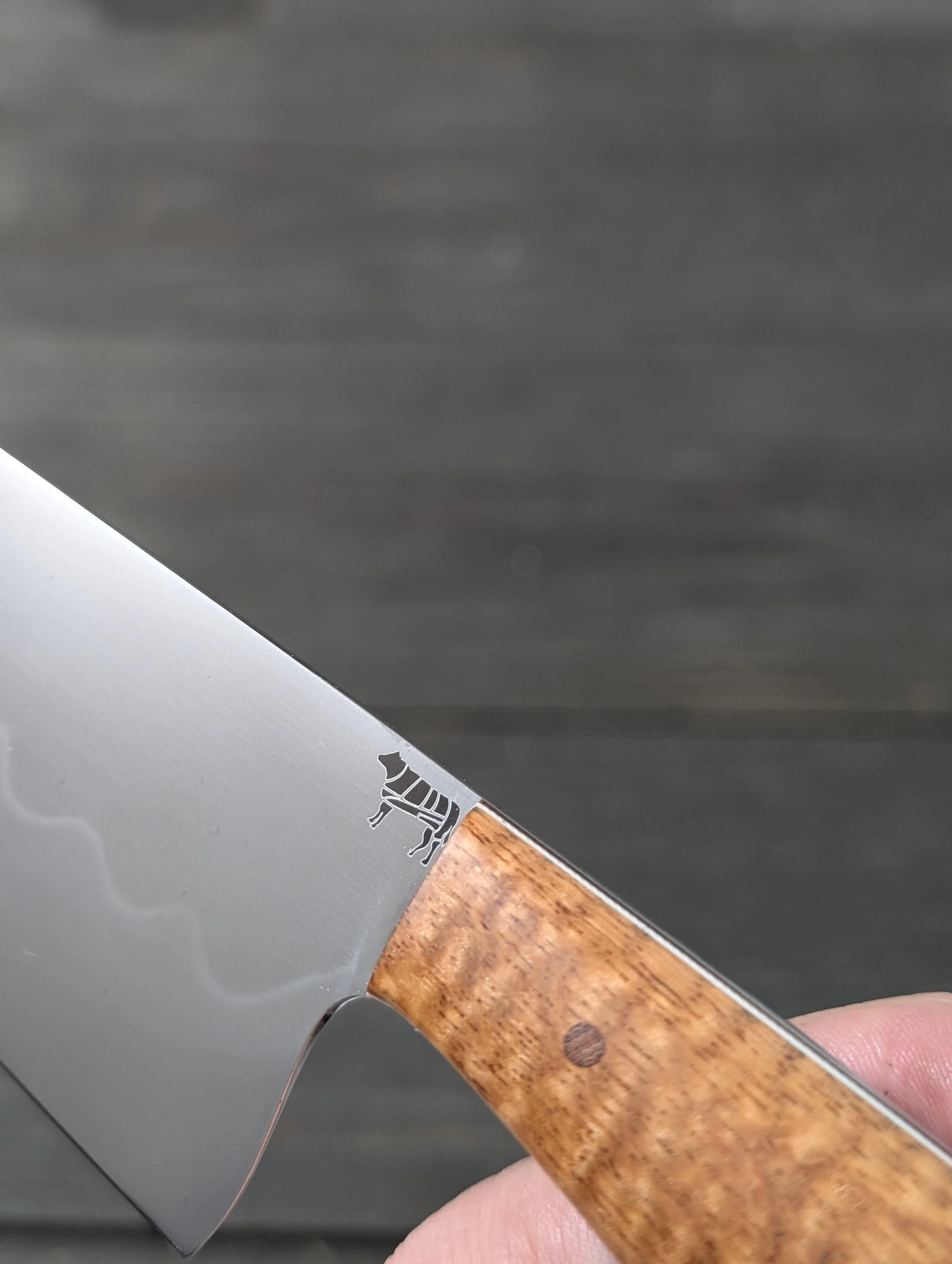 PXL_20251121_015315700.jpg (Copy)