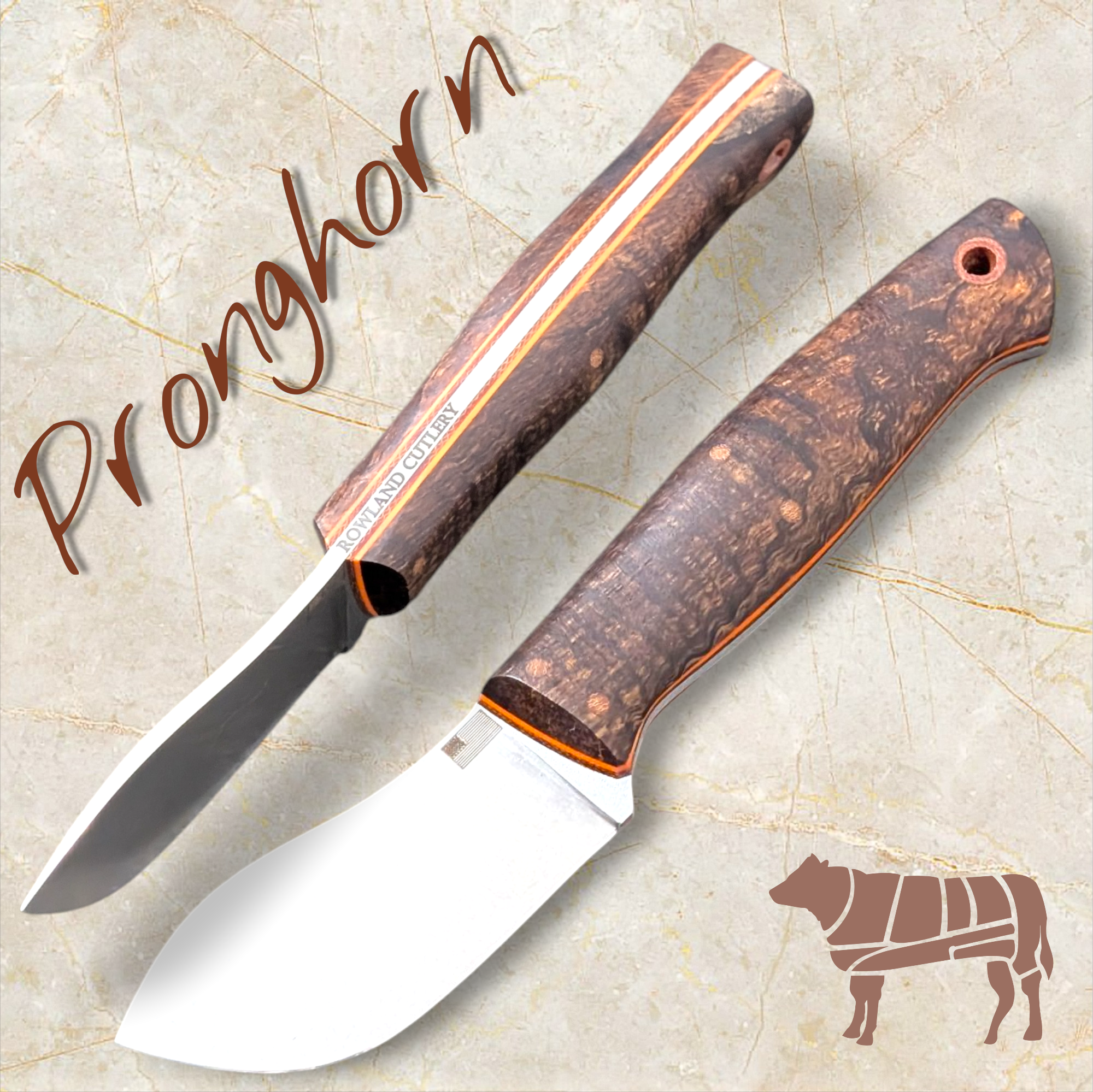Pronghorn