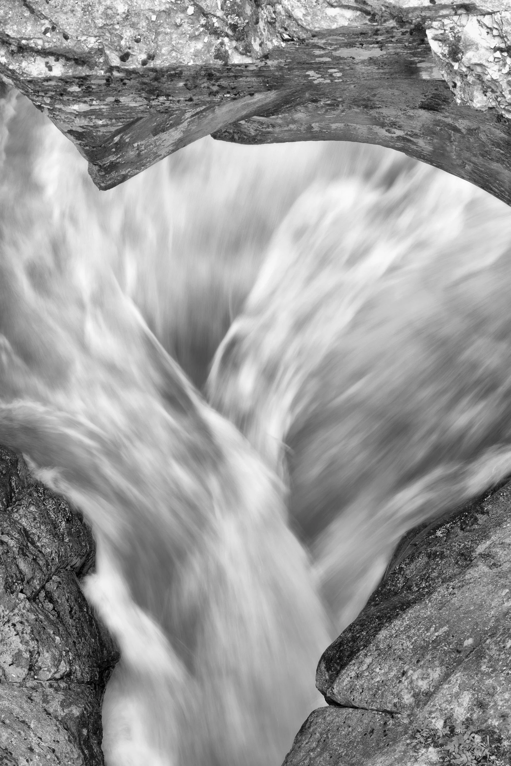 165A6724-sharpenedandortonwater.jpg