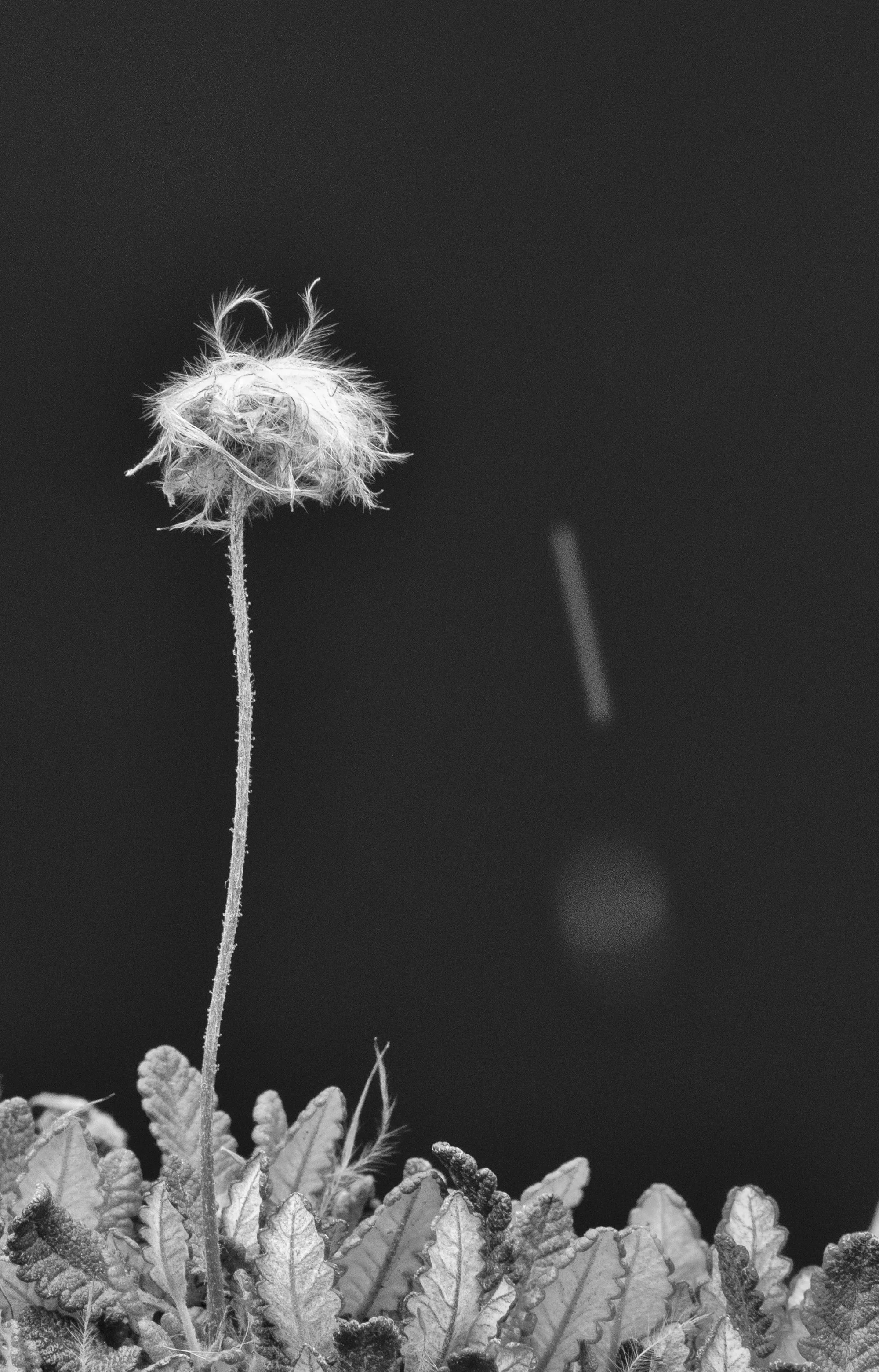 165A1851-Edit-3.jpg