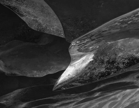 Migration