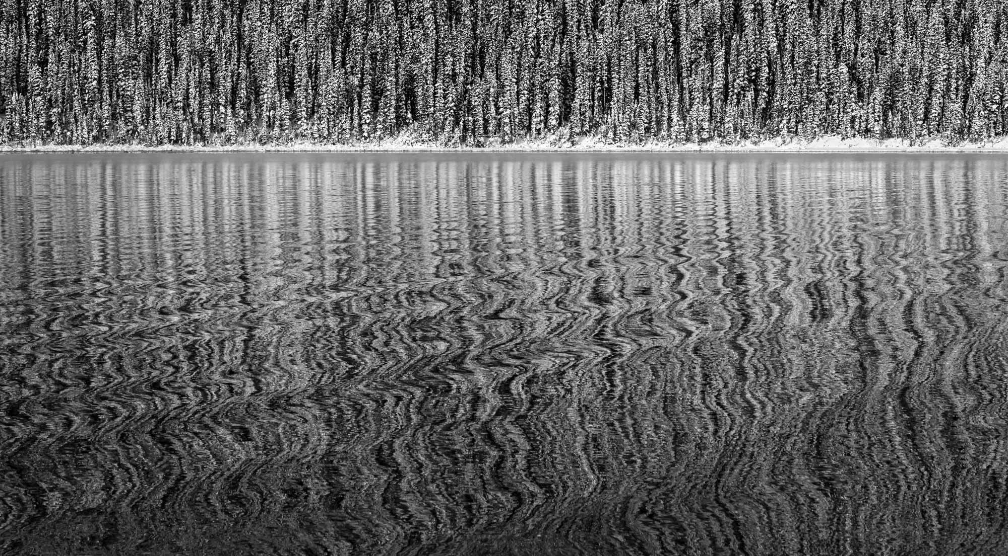 DSC_8839and38_PM2_flat.jpg