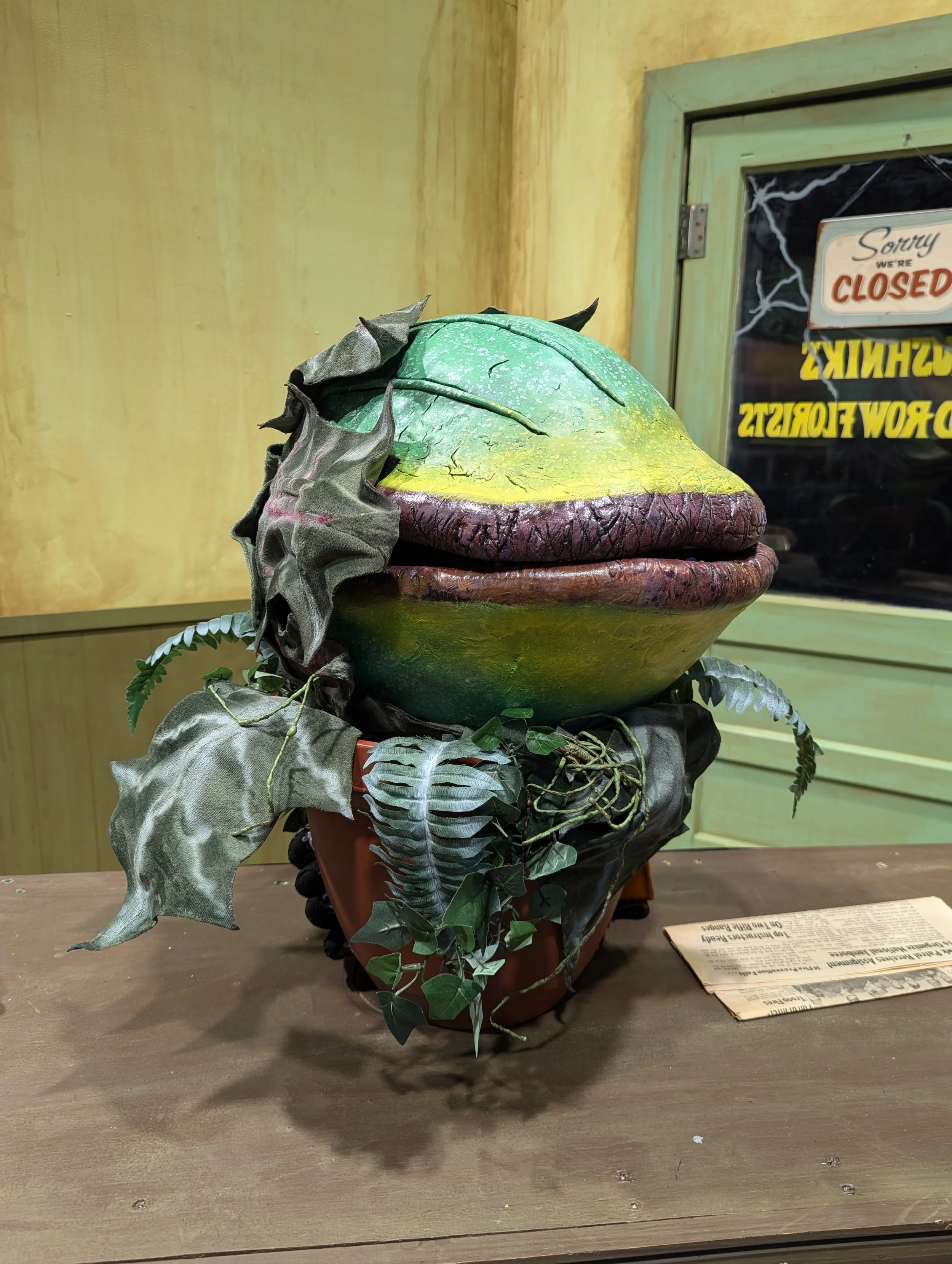 A decorative planter in the shape of a frog with a large, round head, green and yellow coloring, and large lips, surrounded by artificial plants and leaves. In the background, a window with a sign that reads 'Sorry, we're closed'.