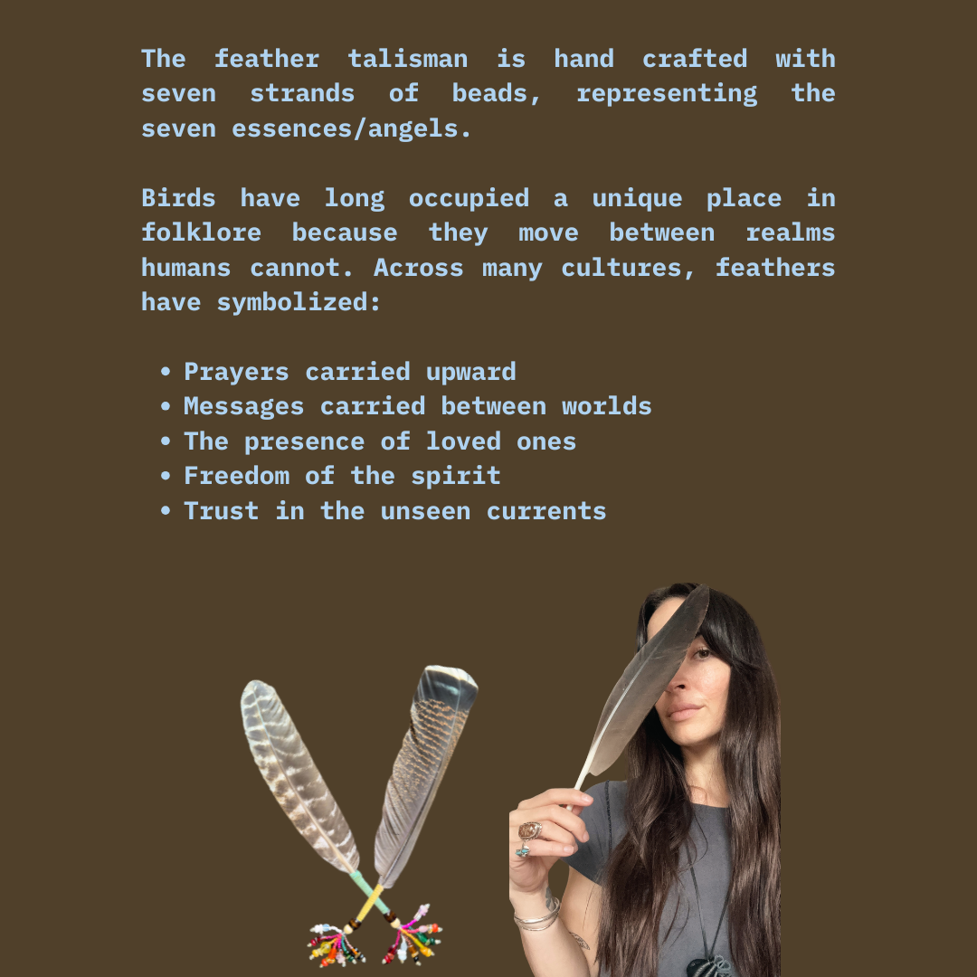 11.png