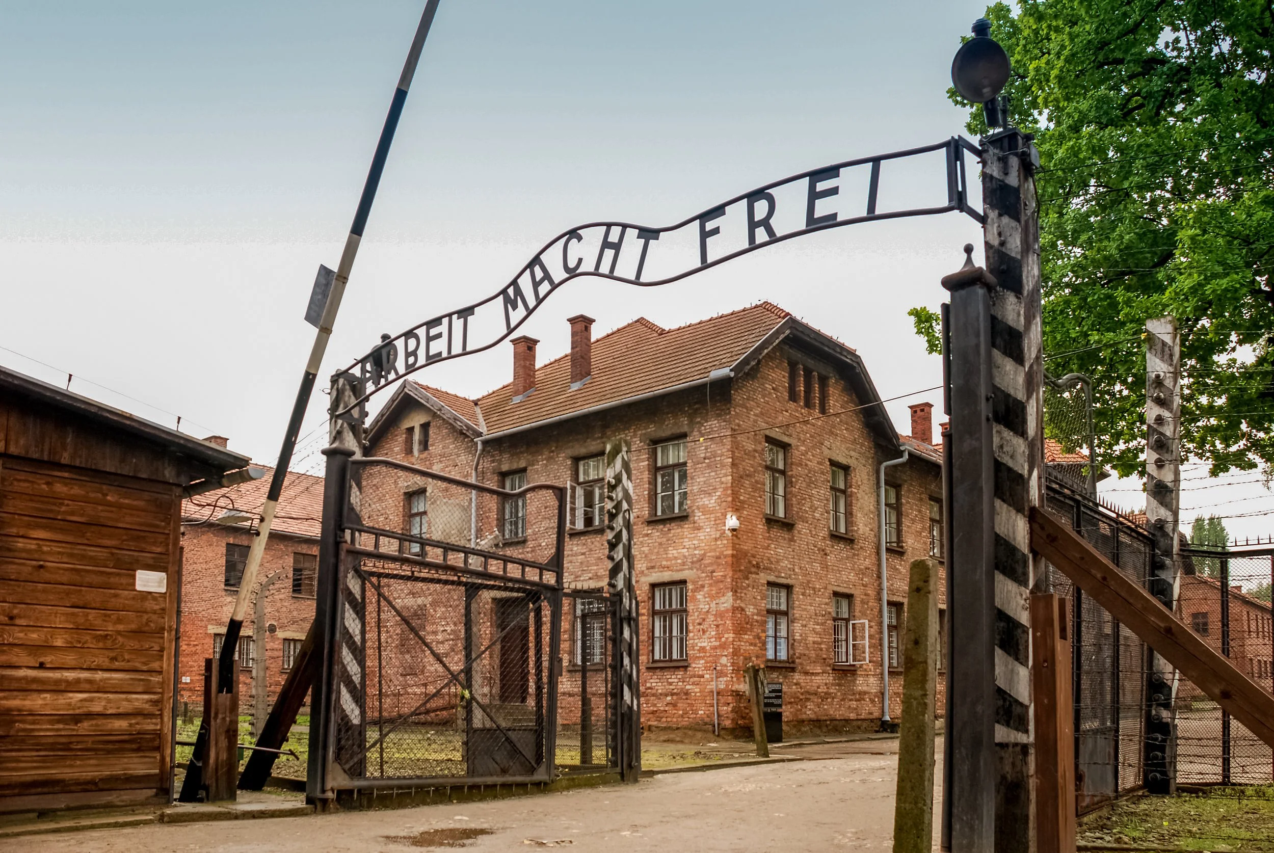 HOLOCAUST SURVIVORS’ FOUNDATION USA STATEMENT ON U.S. AMBASSADOR THOMAS ROSE’S REMARKS ABOUT POLAND AND THE HOLOCAUST