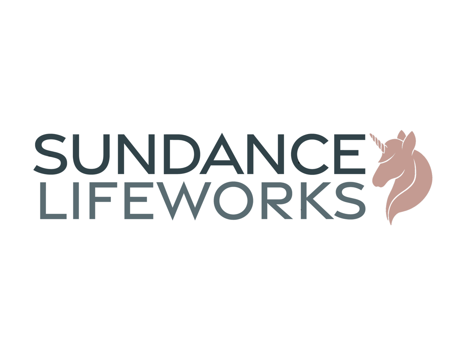 Sundance Lifeworks