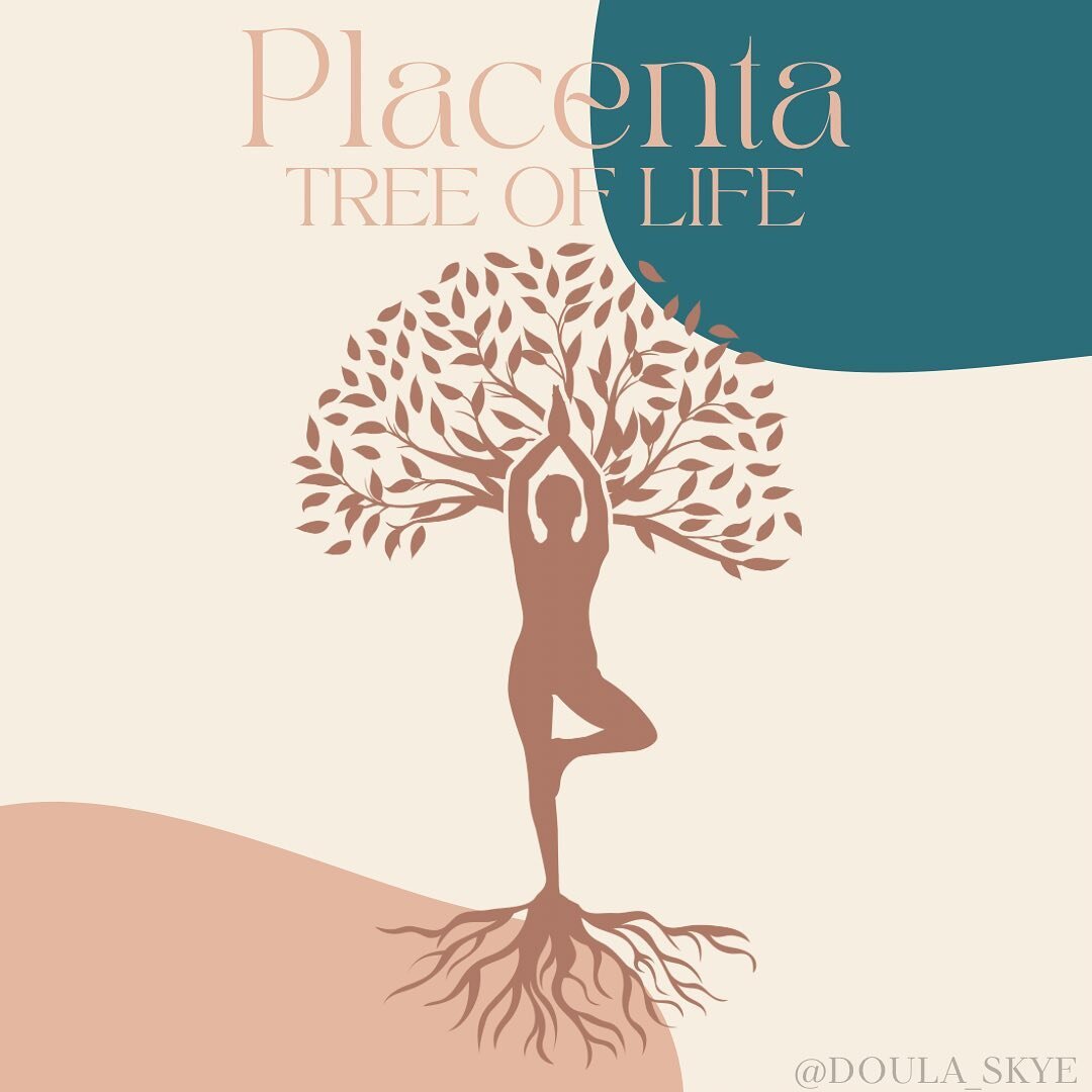 TW on slide 2: blood &amp; placenta 🩸
The placenta, a symbol of connection and nourishment, is like the roots of a magnificent tree, supporting the growth of new life. From the womb to the world, it's a testament to the incredible bond between mothe