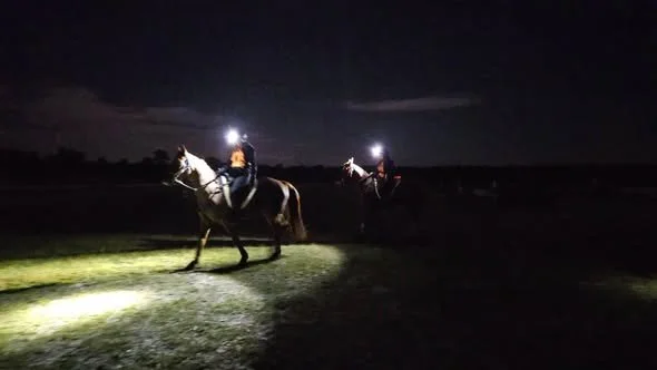 riding out.jpg