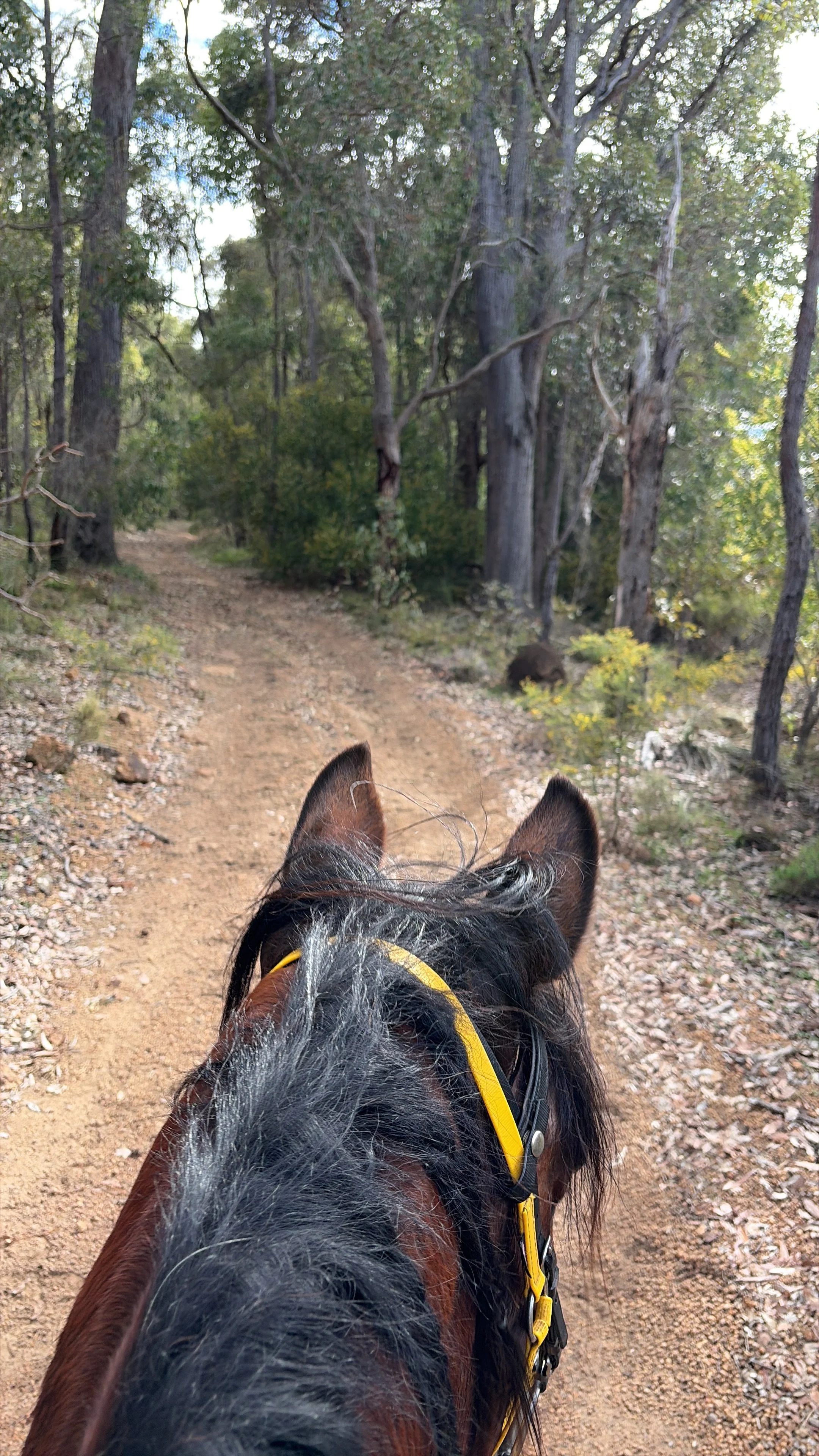 Soft undulating gravel tracks make good going