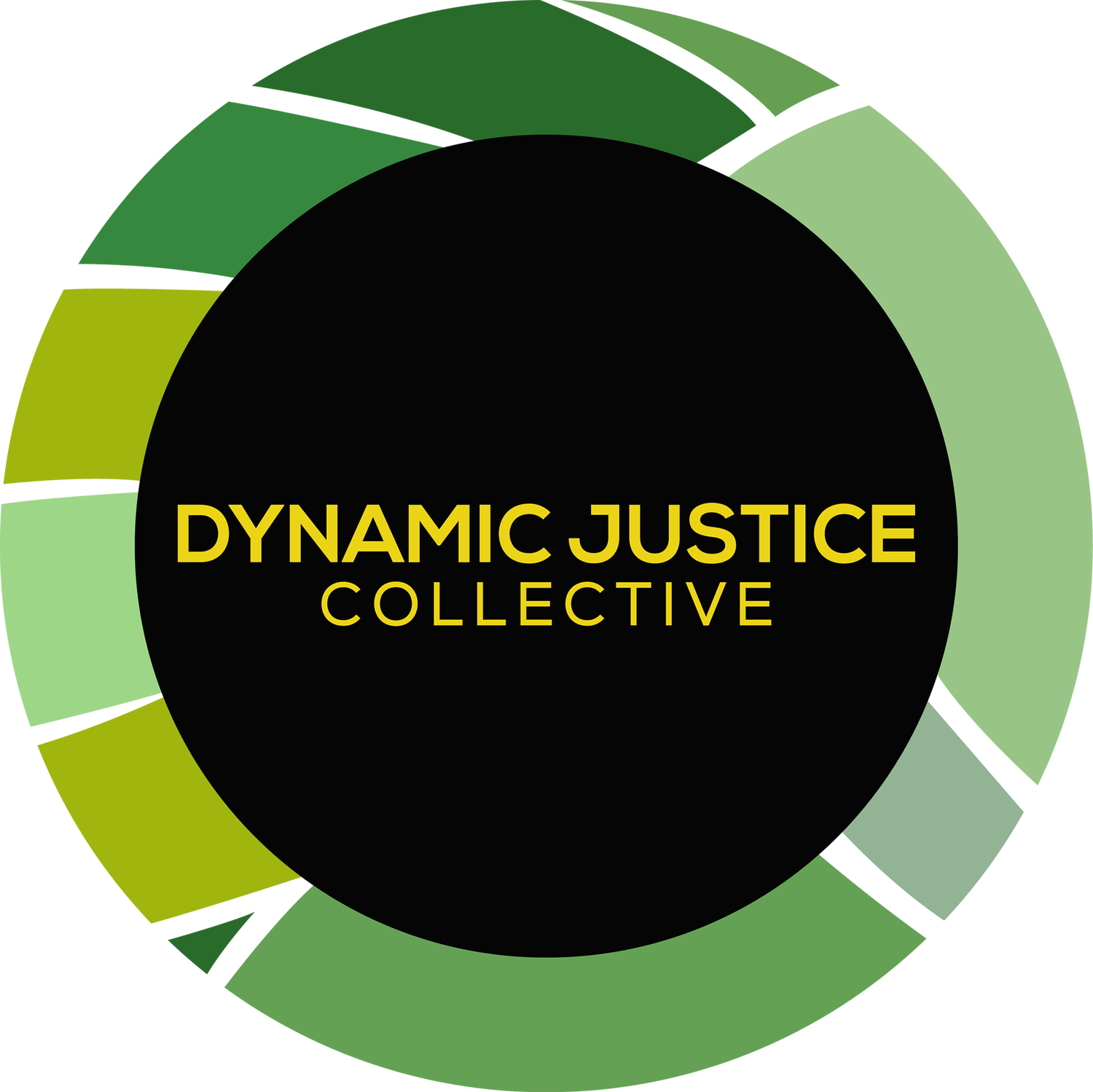Dynamic Justice Collective