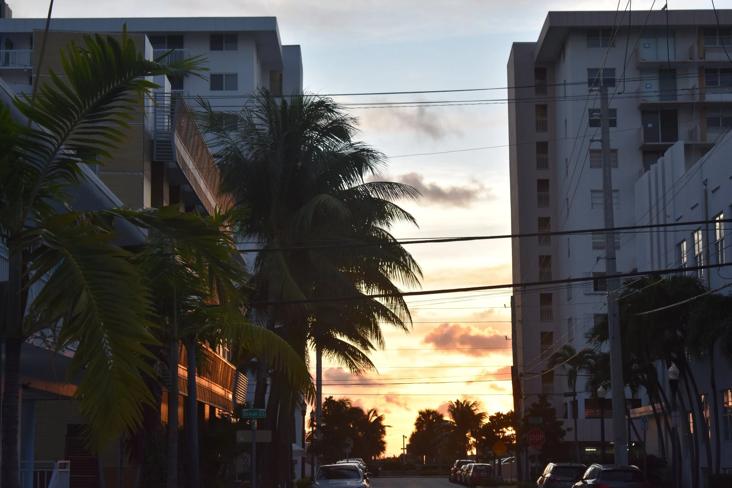 image-asset (3).jpeg