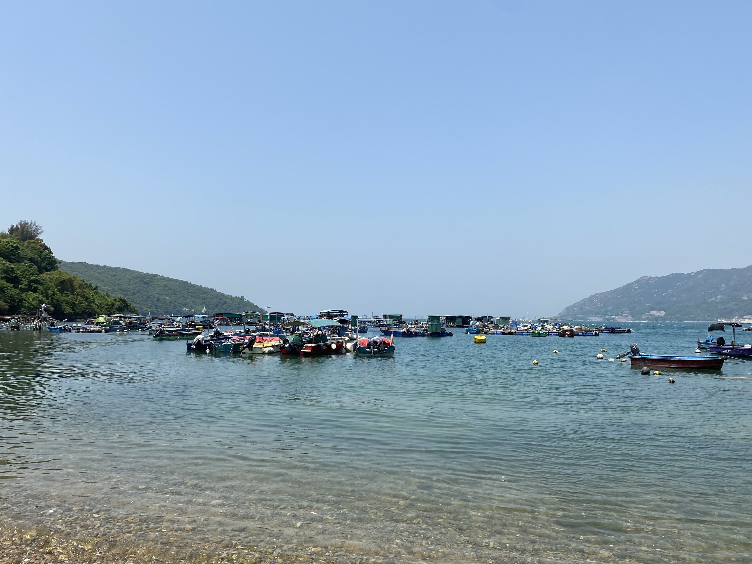 IMG_8644.jpeg