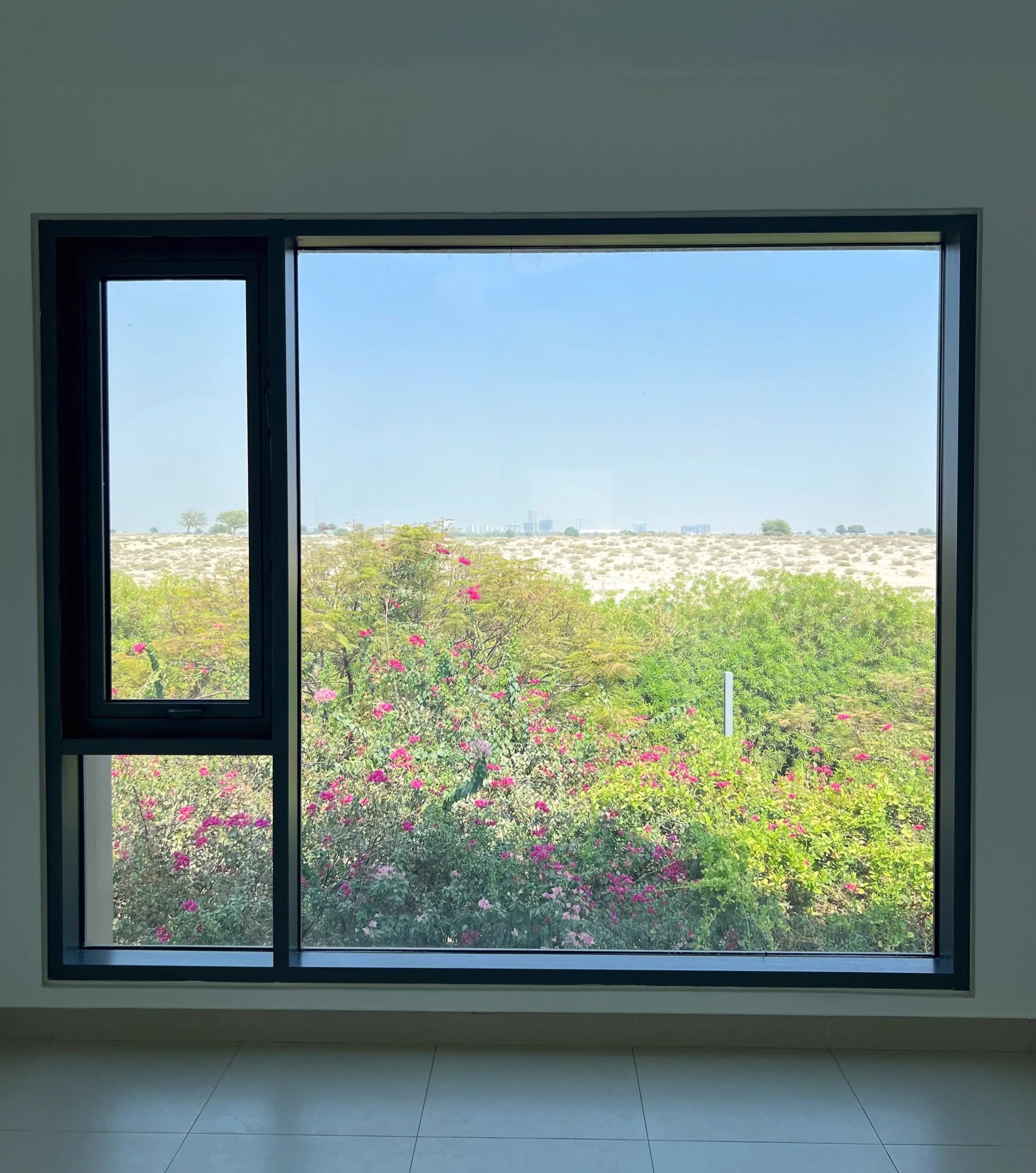 Desert View