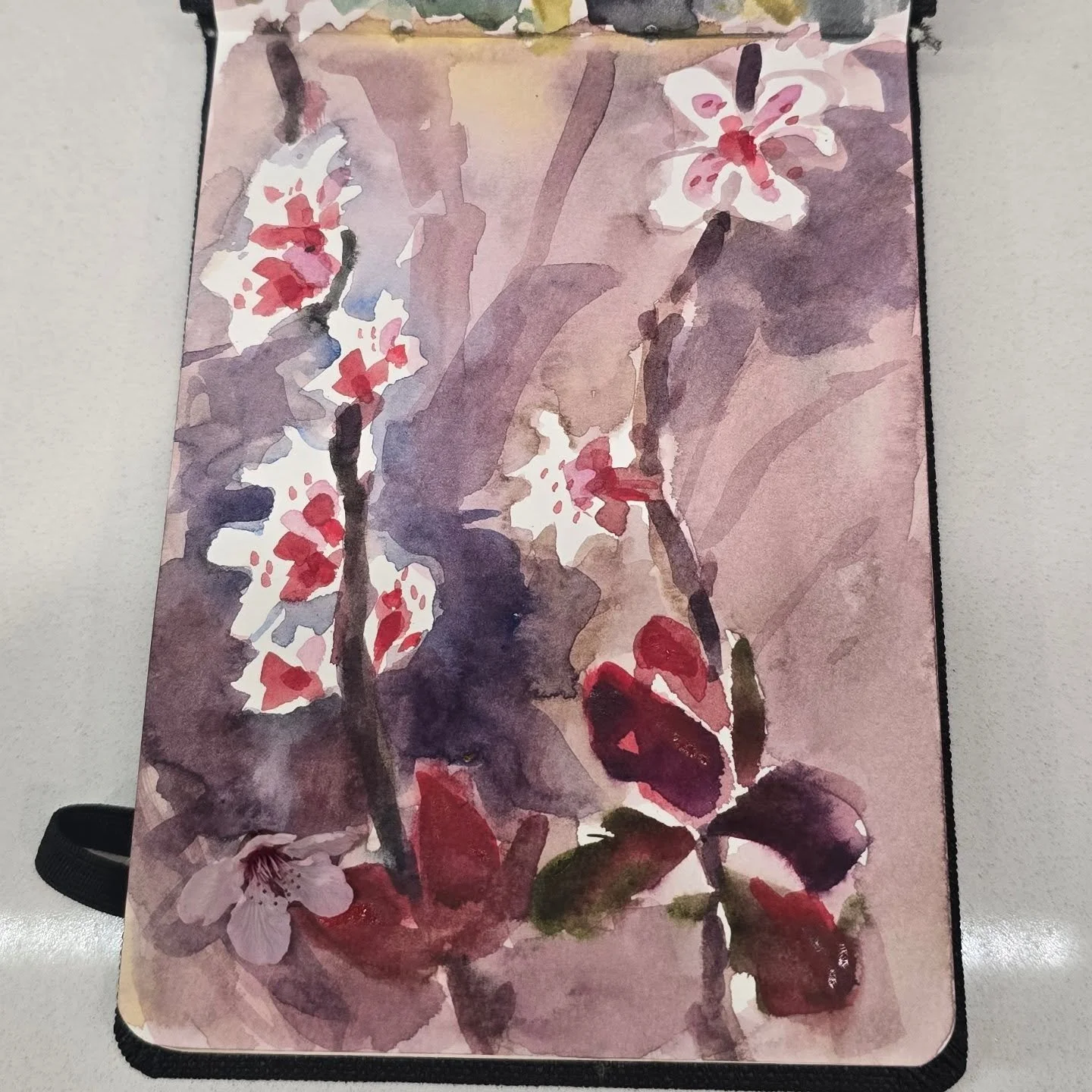 our ornamental black plum tree is blooming this week and the leaves are such a startling red when the light hits them just so. the petals are simultaneously an absence of color and such a delicate color that looks like the breath of spring. I should 