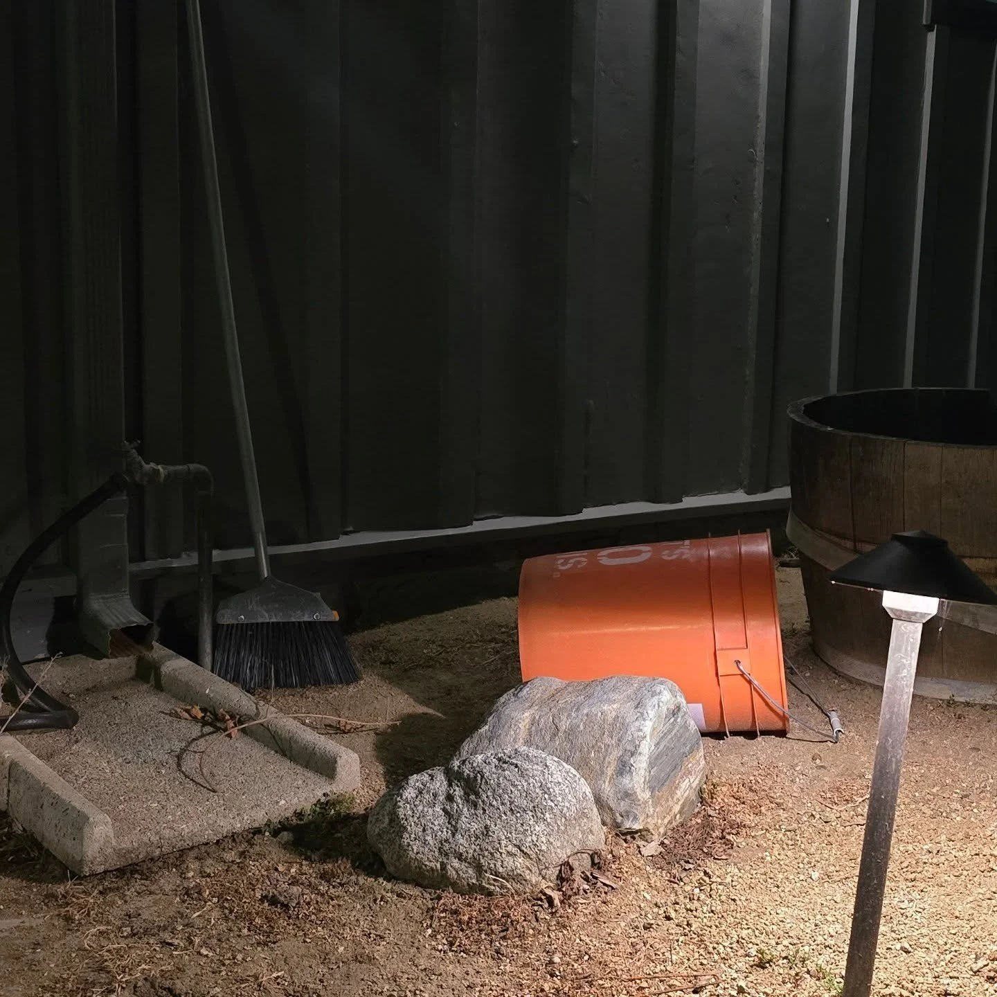 I was feeling very uninspired tonight, ended up sitting in the middle of our walkway to draw with a pencil even though I had taped off a page for watercolor...and ended up getting a surprise (but not stinky) visit from a neighborhood skunk! it just w