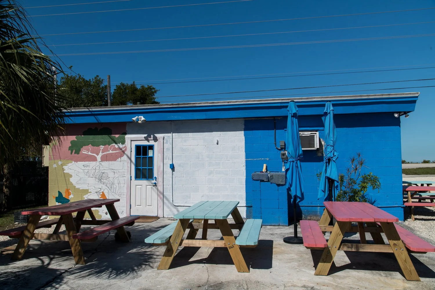 Sugar Shark back wall mural in progress