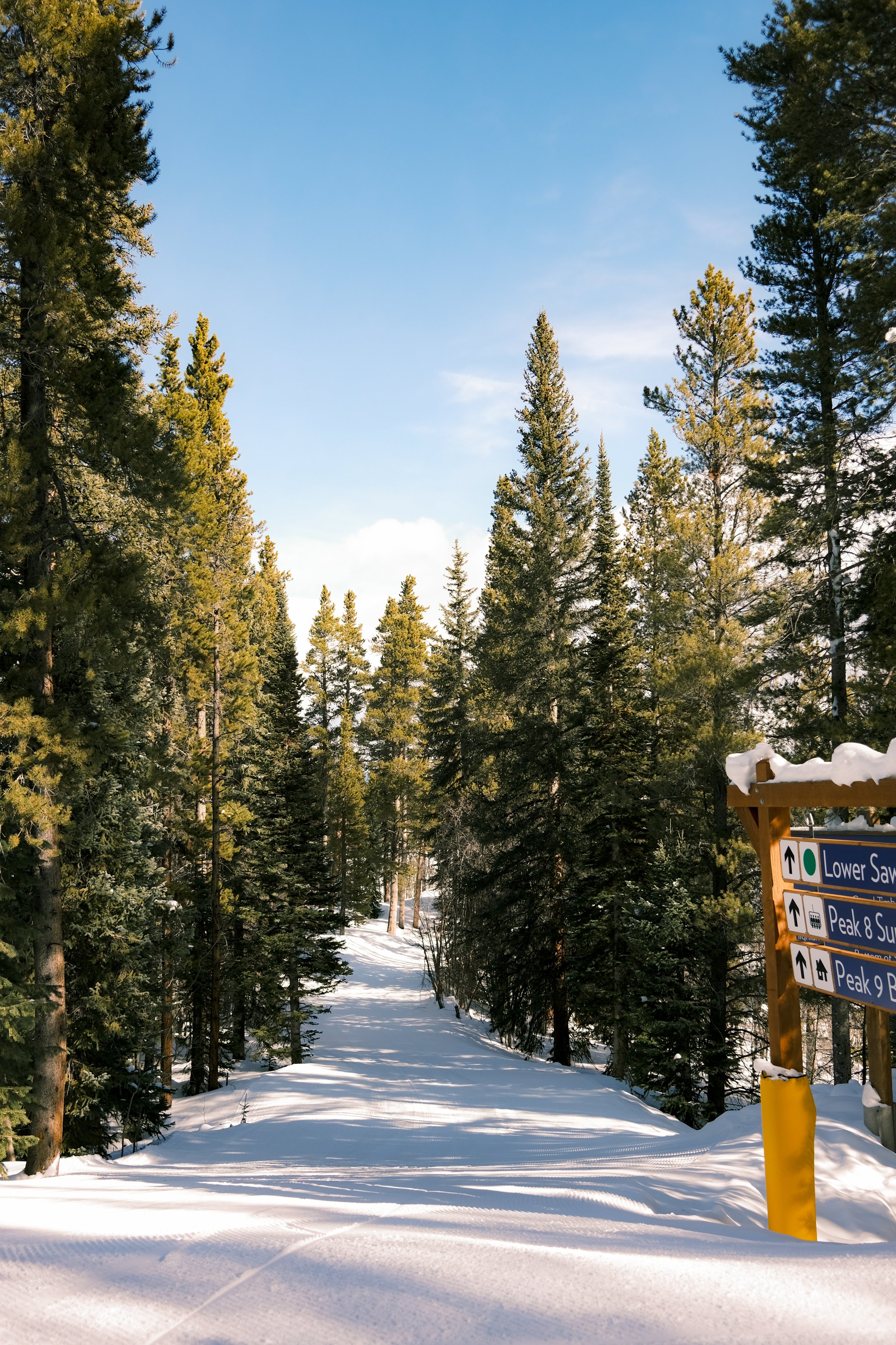 kevinfarfanphoto -@kevsfilm-22.jpg