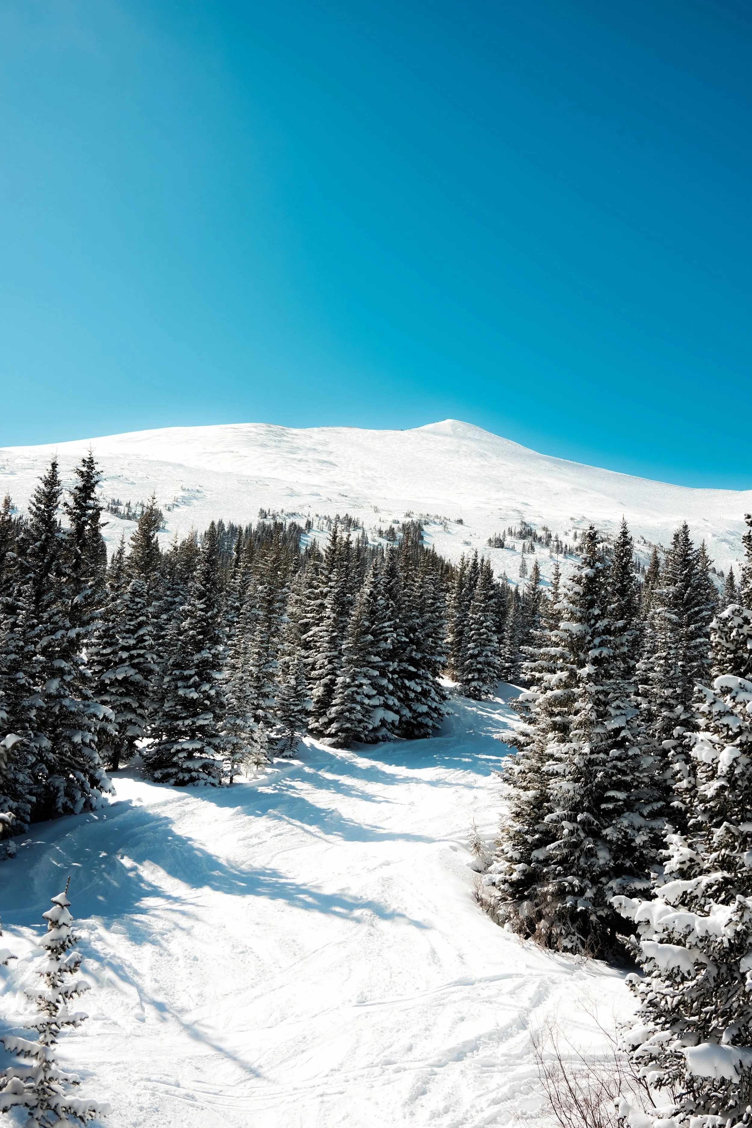 kevinfarfanphoto -@kevsfilm-29.jpg