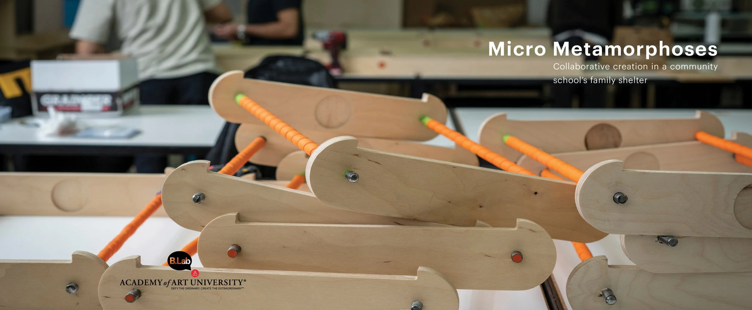 Micro Metamorphoses Cover(Website).jpg