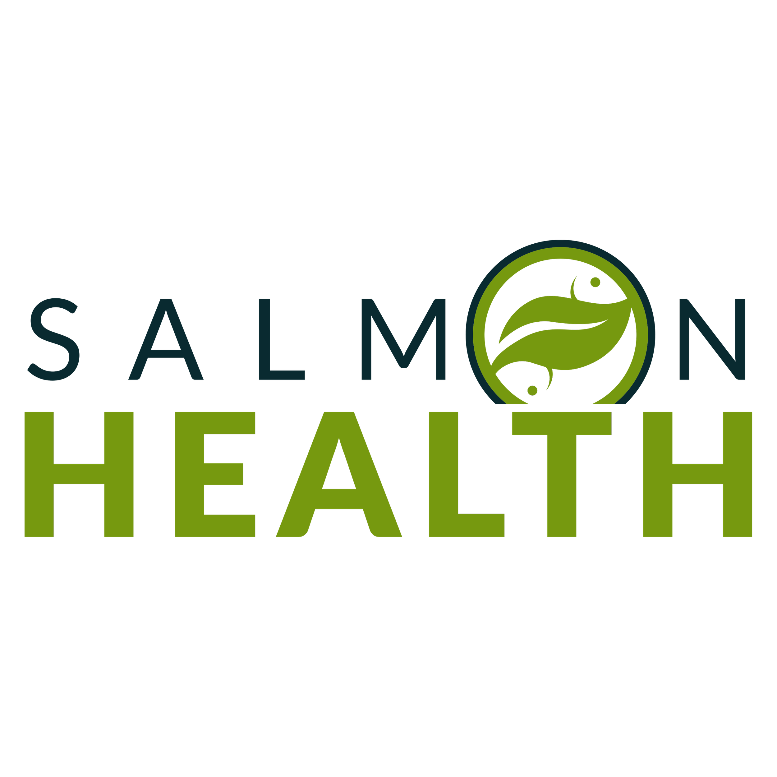 Salmon Health