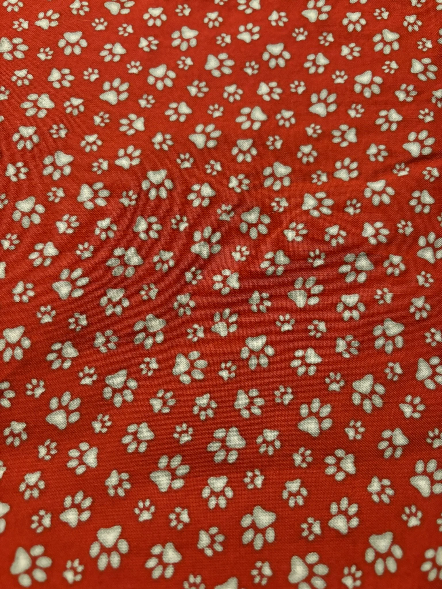 Paw Prints on Red Cotton