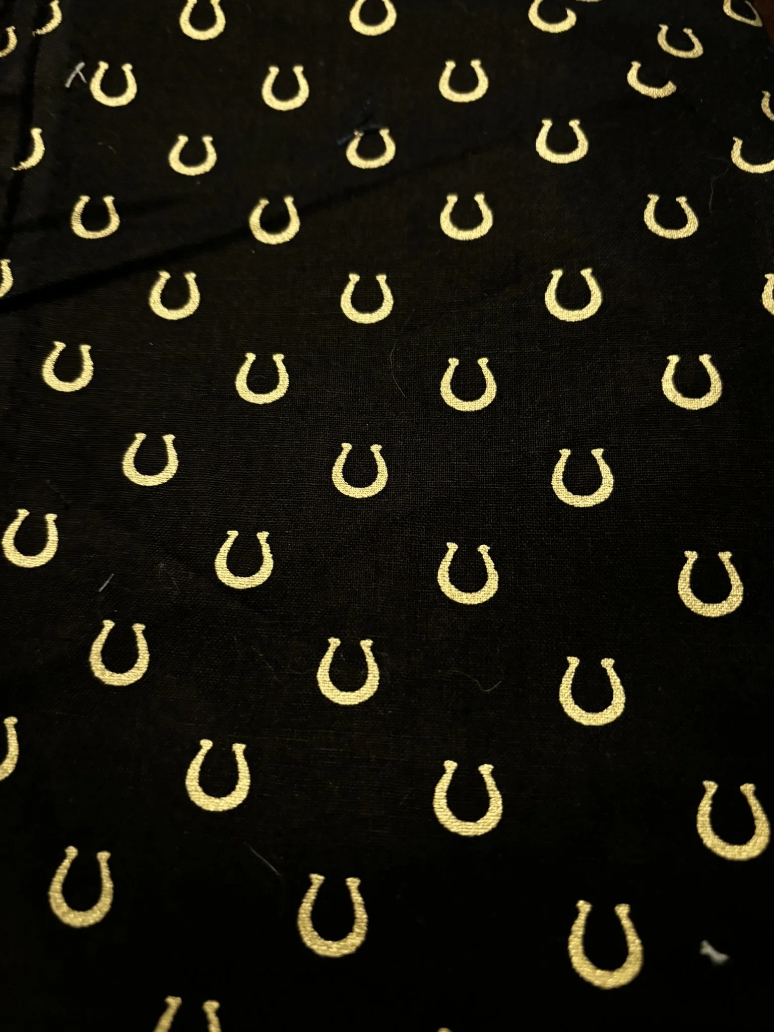 Horeshoes Gold on Black Cotton