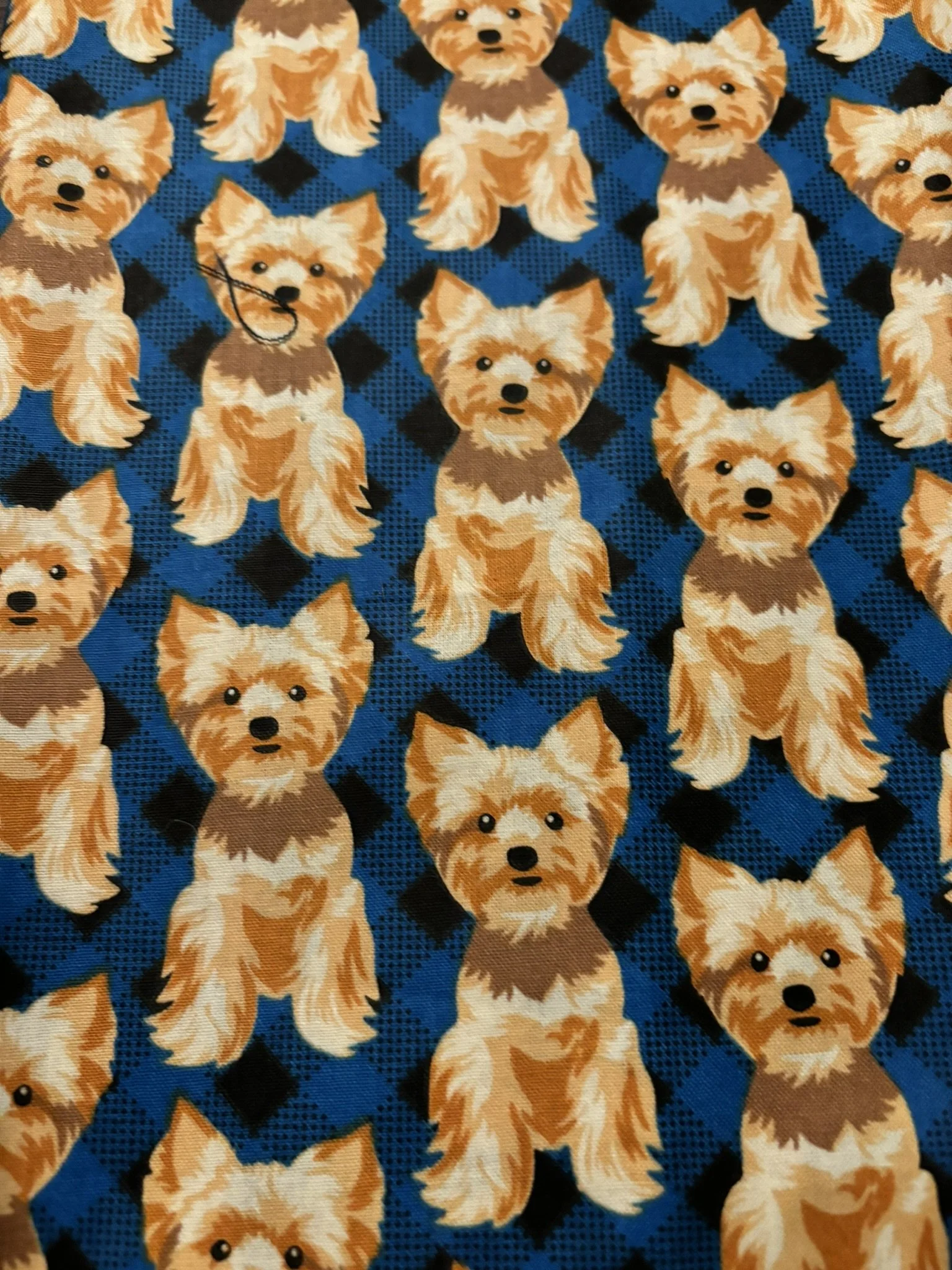 Yorkies on Blue Cotton