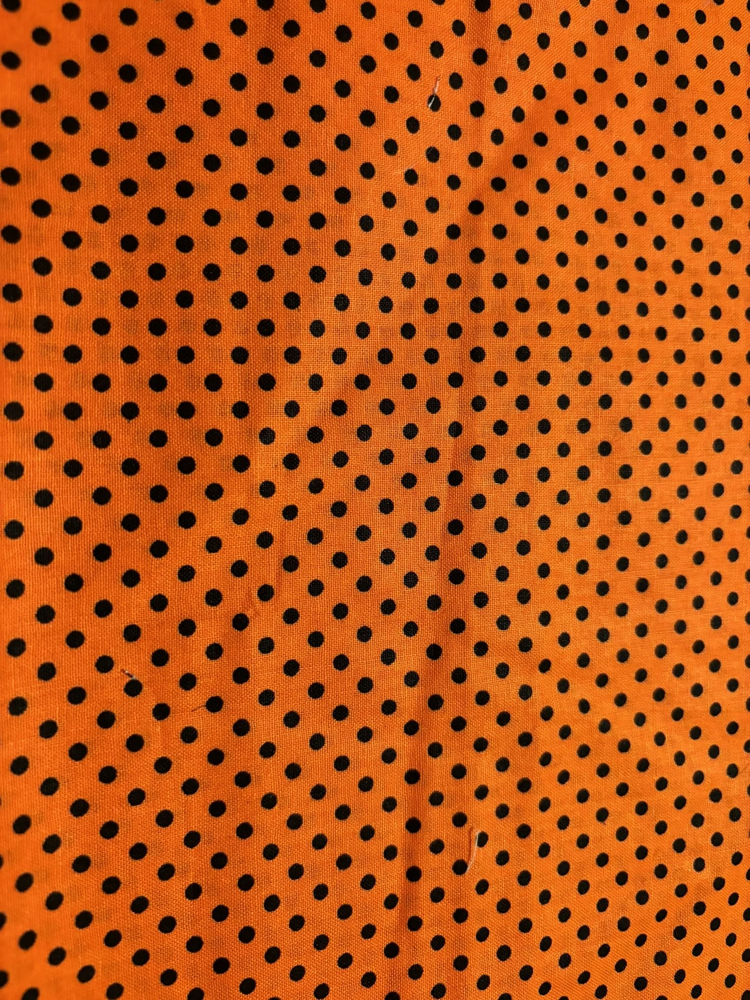 Orange Cotton with Brown Polka Dots