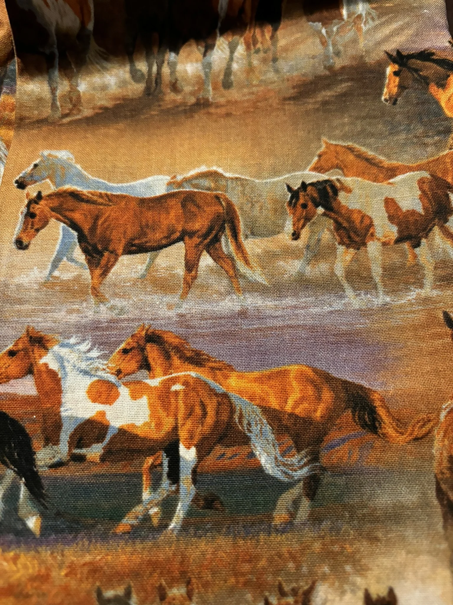 Wild Horses on Multi Colored Cotton