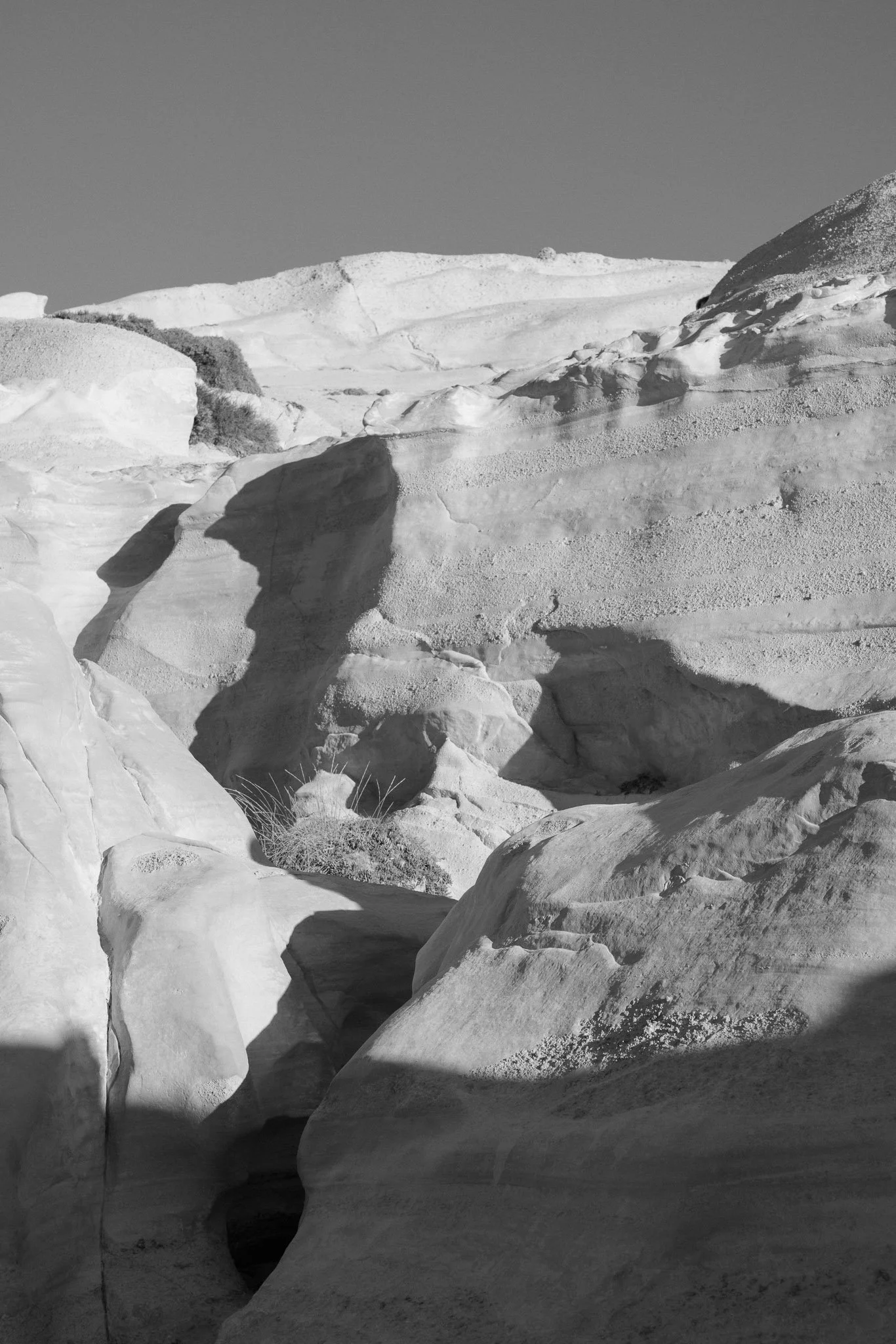 Black and white landscape.jpg