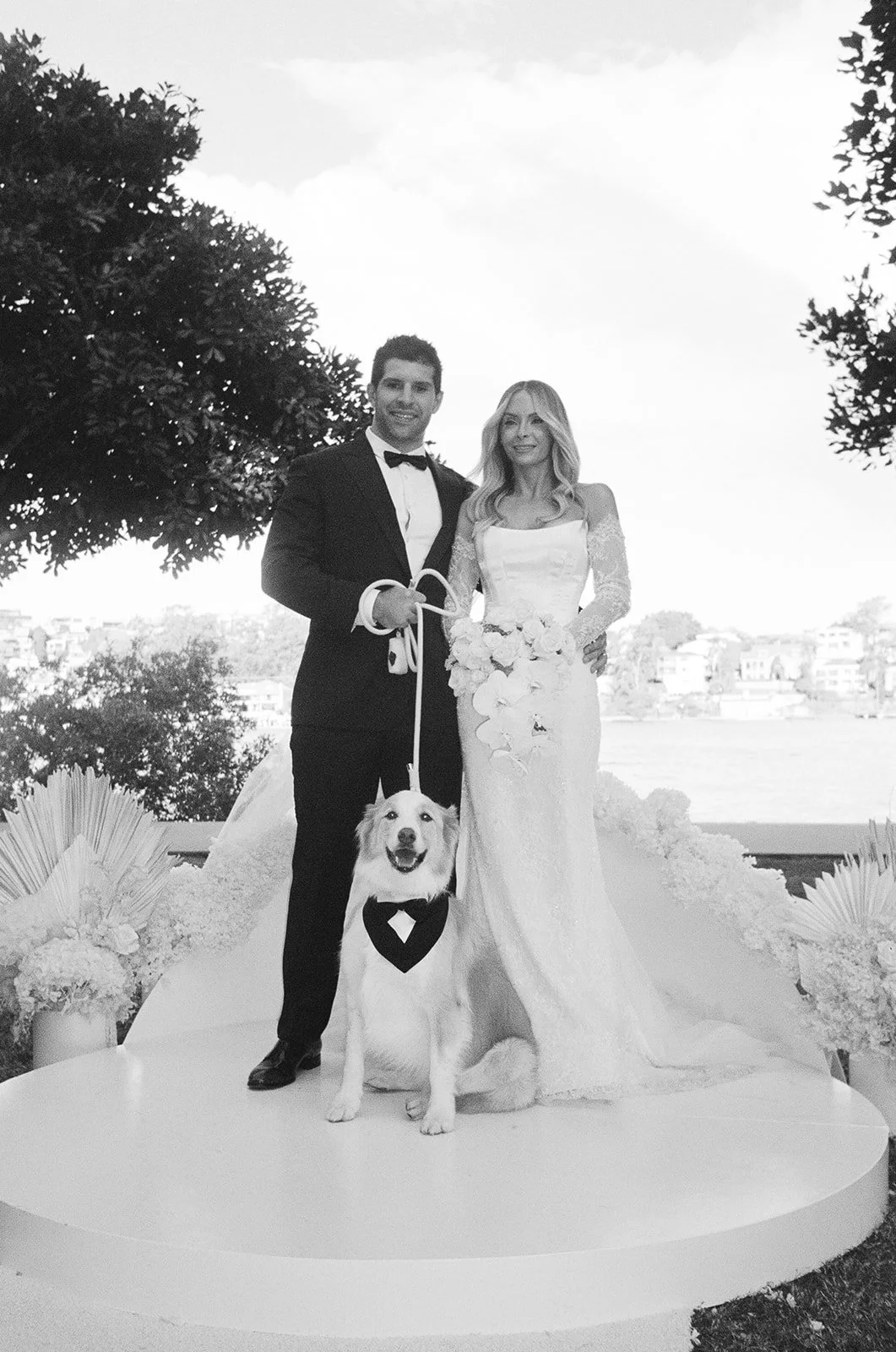 Brisbane Bride and Groom with Dog.jpg