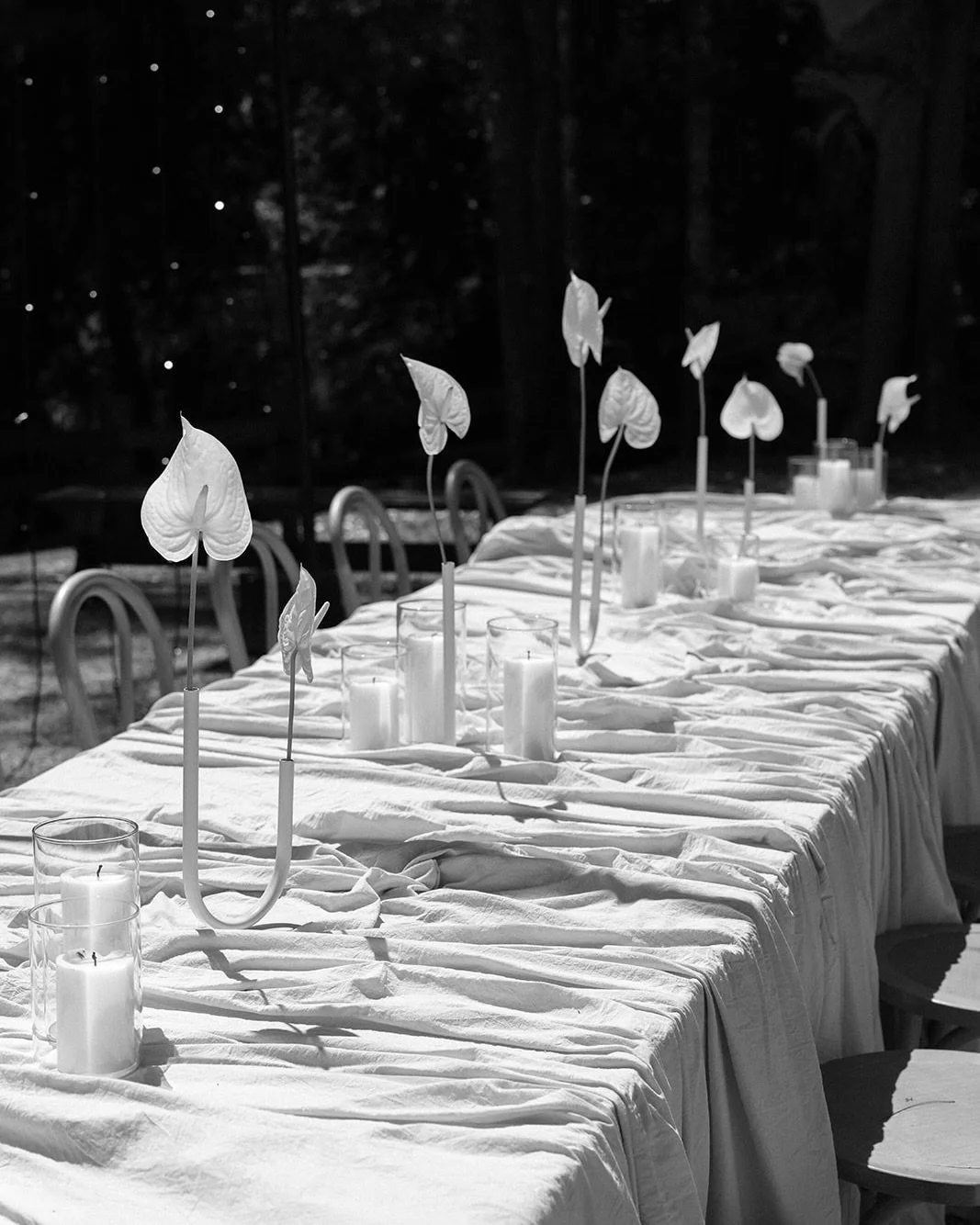 Yesterday was such a beautiful day at Kwila Lodge for the Gold Coast Wedding Collective open day.

It was so nice seeing couples wander through the lodge, imagining how their own day might look.

Tanya from Demavi brought the space to life with her s