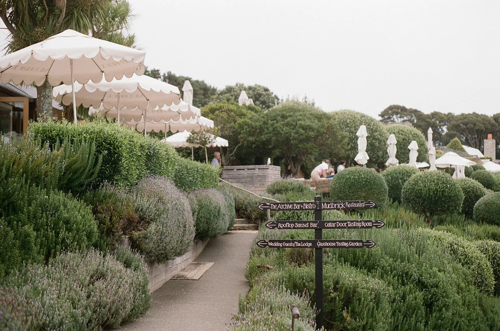 Mudbrick Wedding - Irena and Trent Film-3_websize.jpg