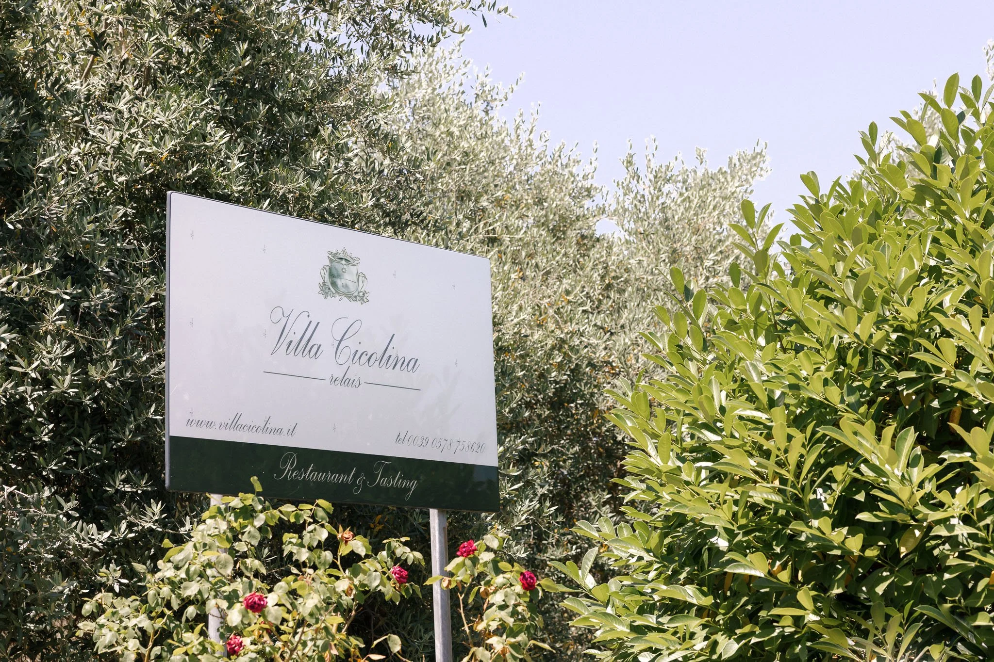 Tuscany Villa Cicolina Wedding Photography.jpg