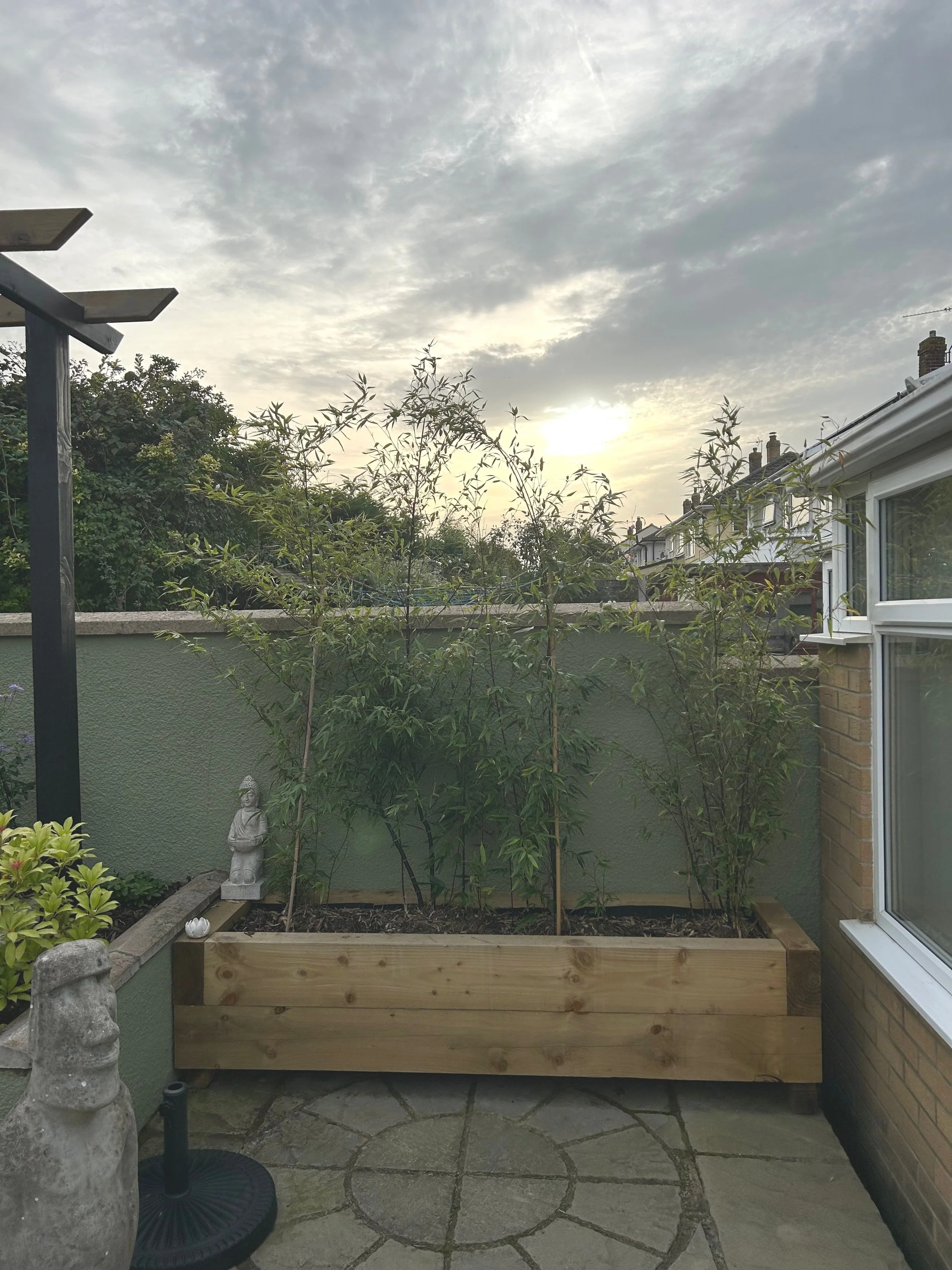 Established planter.jpg