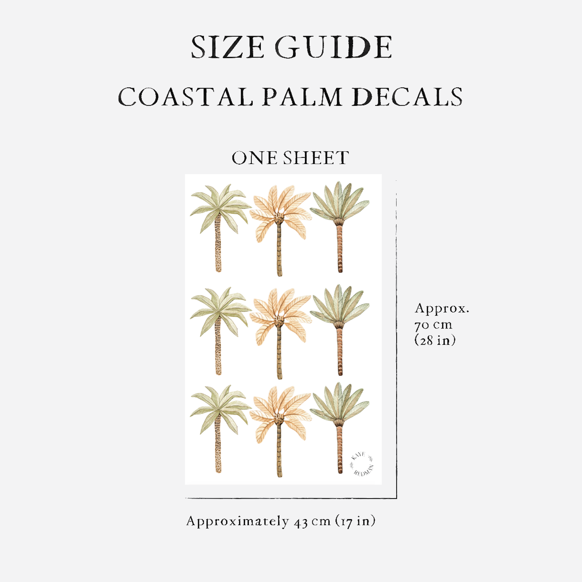 Palm Trees Size Guide.png