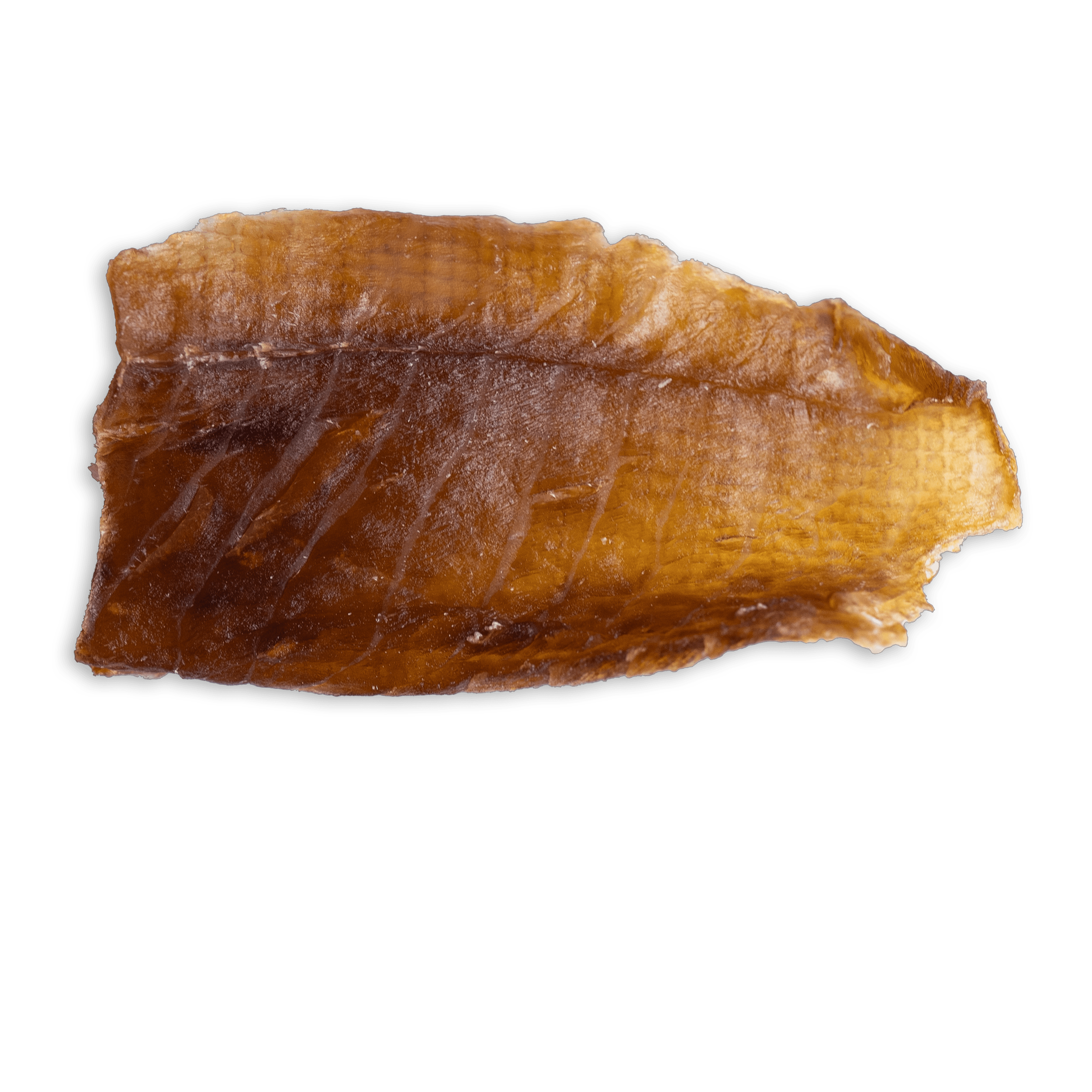 Lachs_003.png
