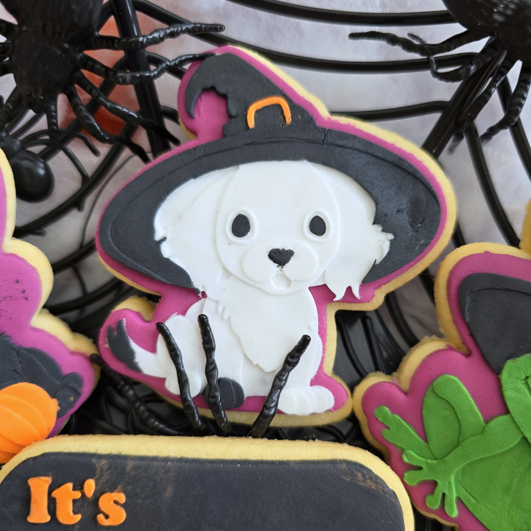 Witchy Puppy