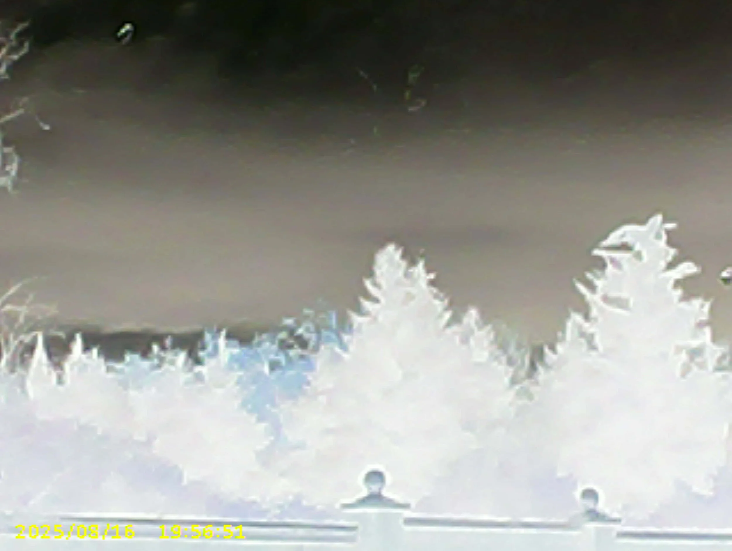 Untitled. Toy camera photographs. EDPX 3/4700 Bad Taste & Digital Aesthetics. Assignment: Poor Images.